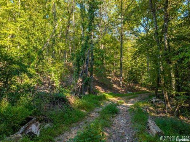 000 Maple  Hot Springs, AR