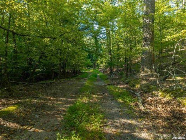 000 Maple  Hot Springs, AR