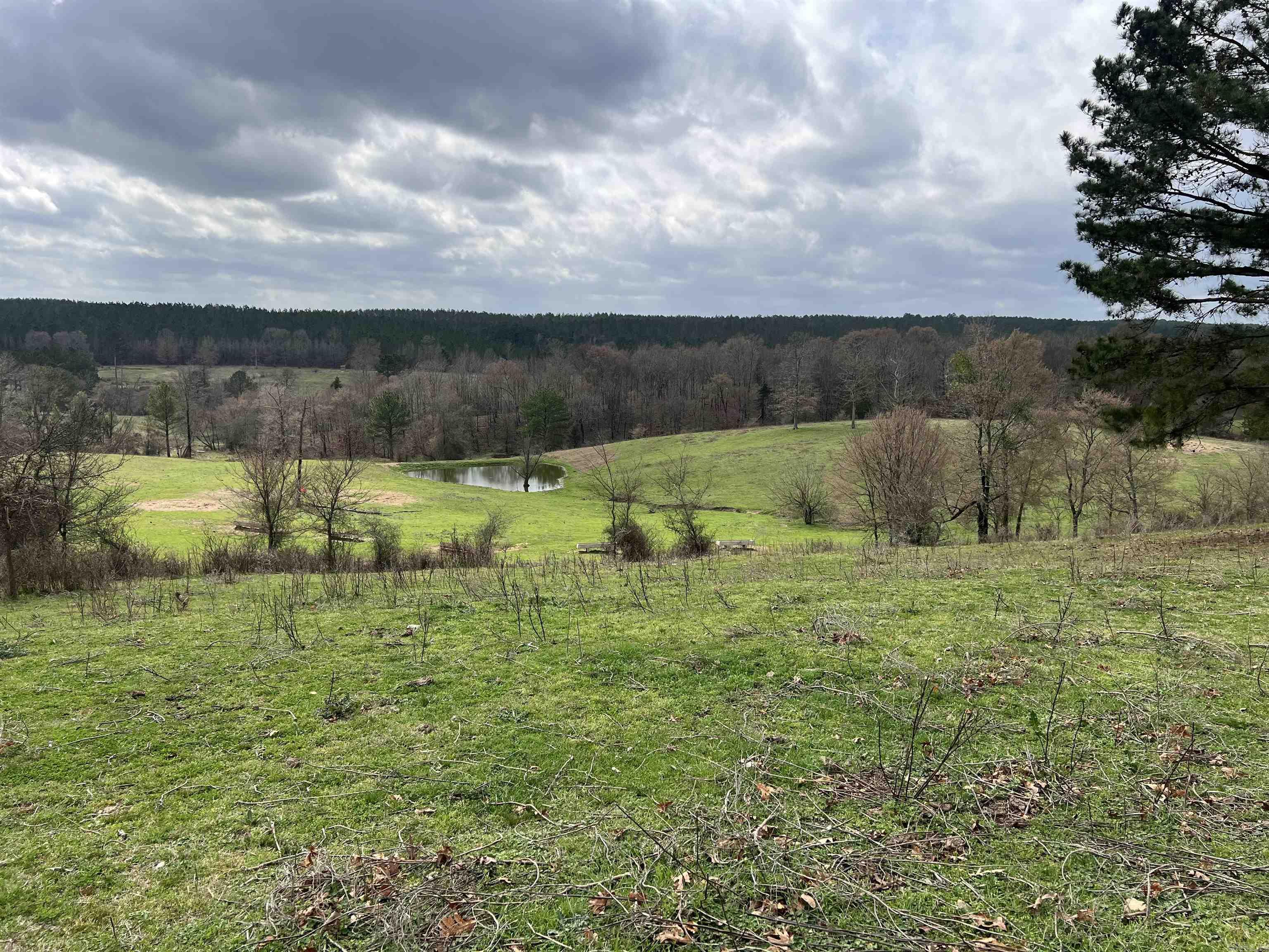 xx Shaw road  Newhope, AR