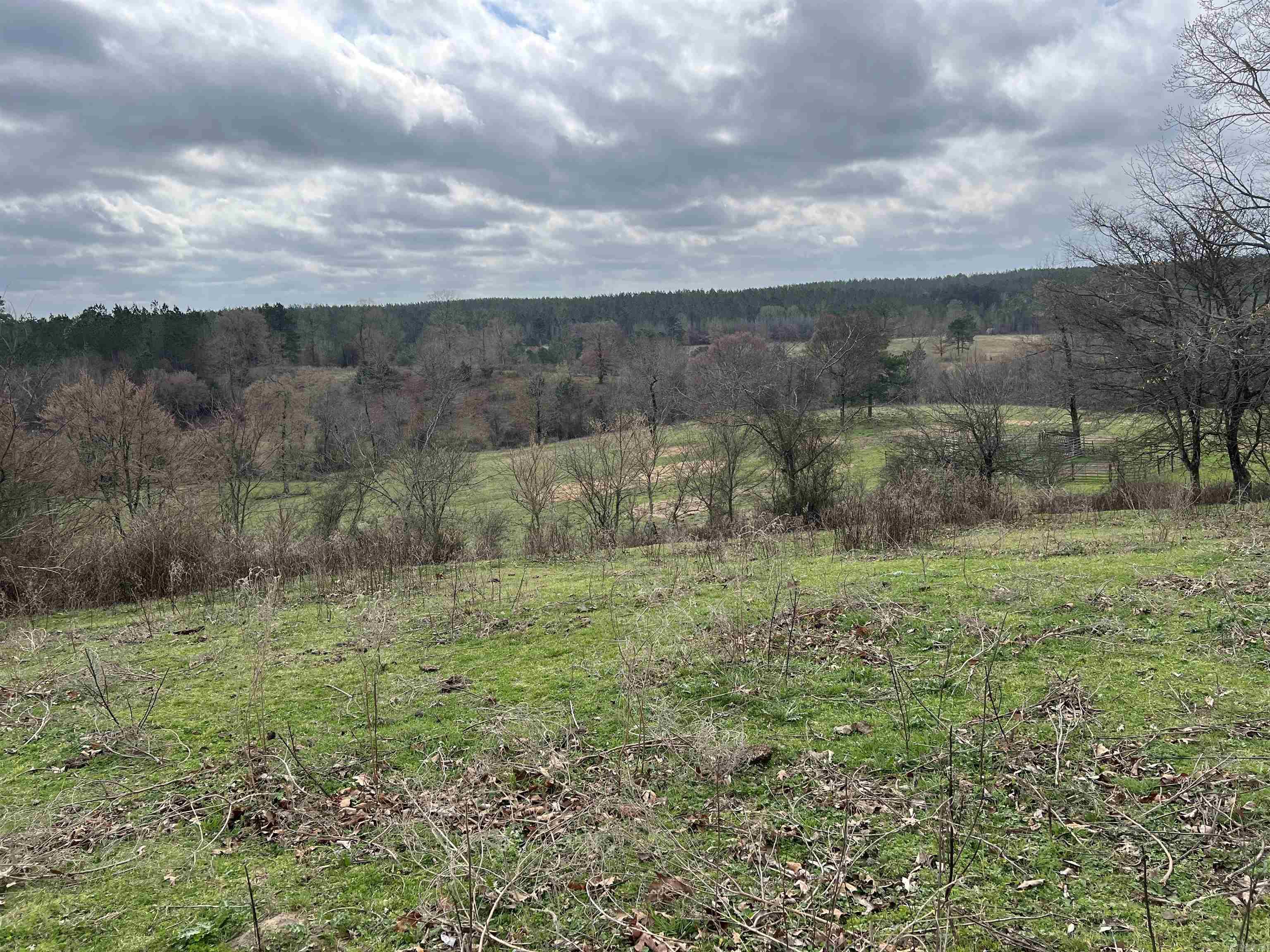 xx Shaw road  Newhope, AR