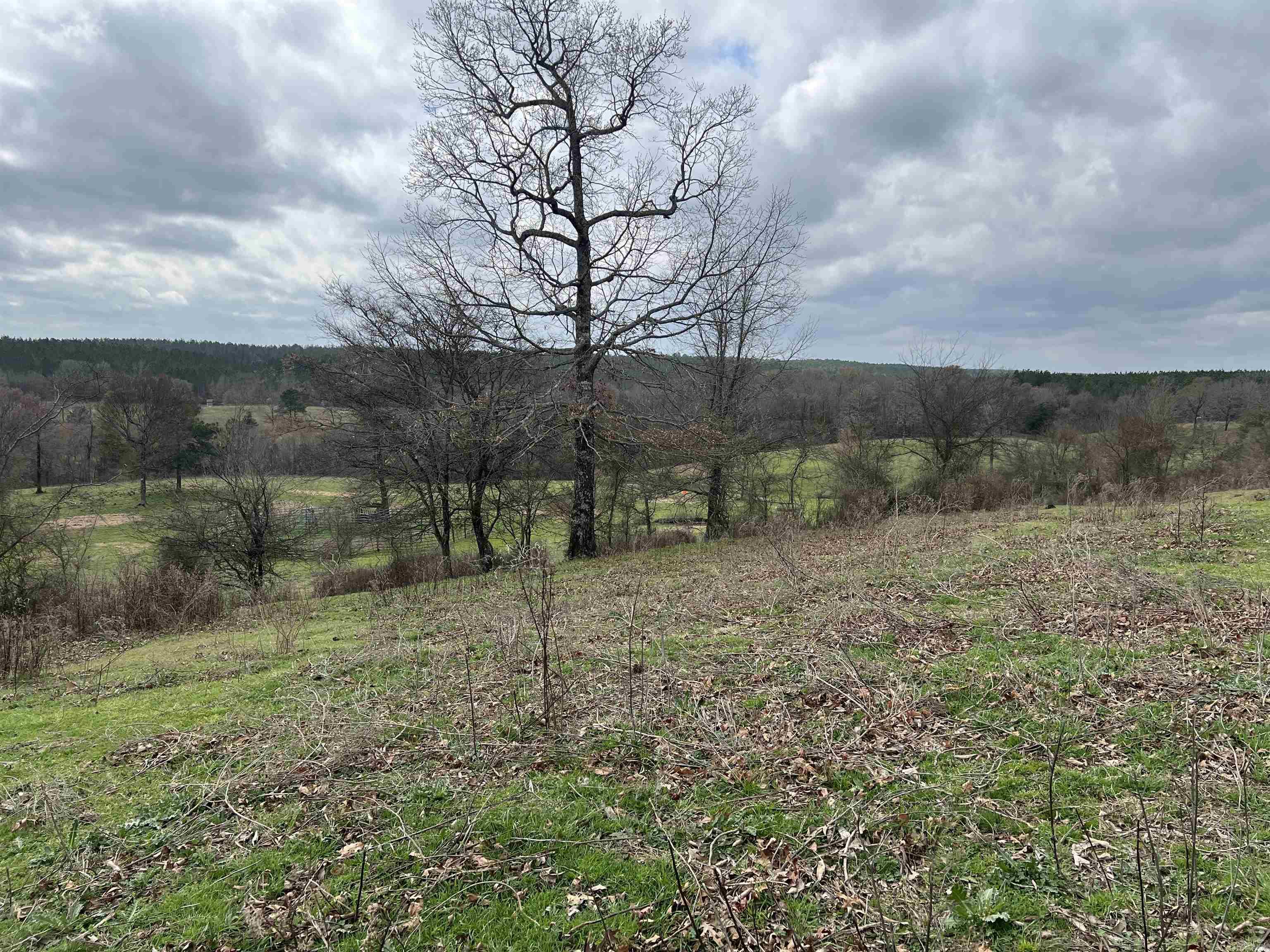 xx Shaw road  Newhope, AR