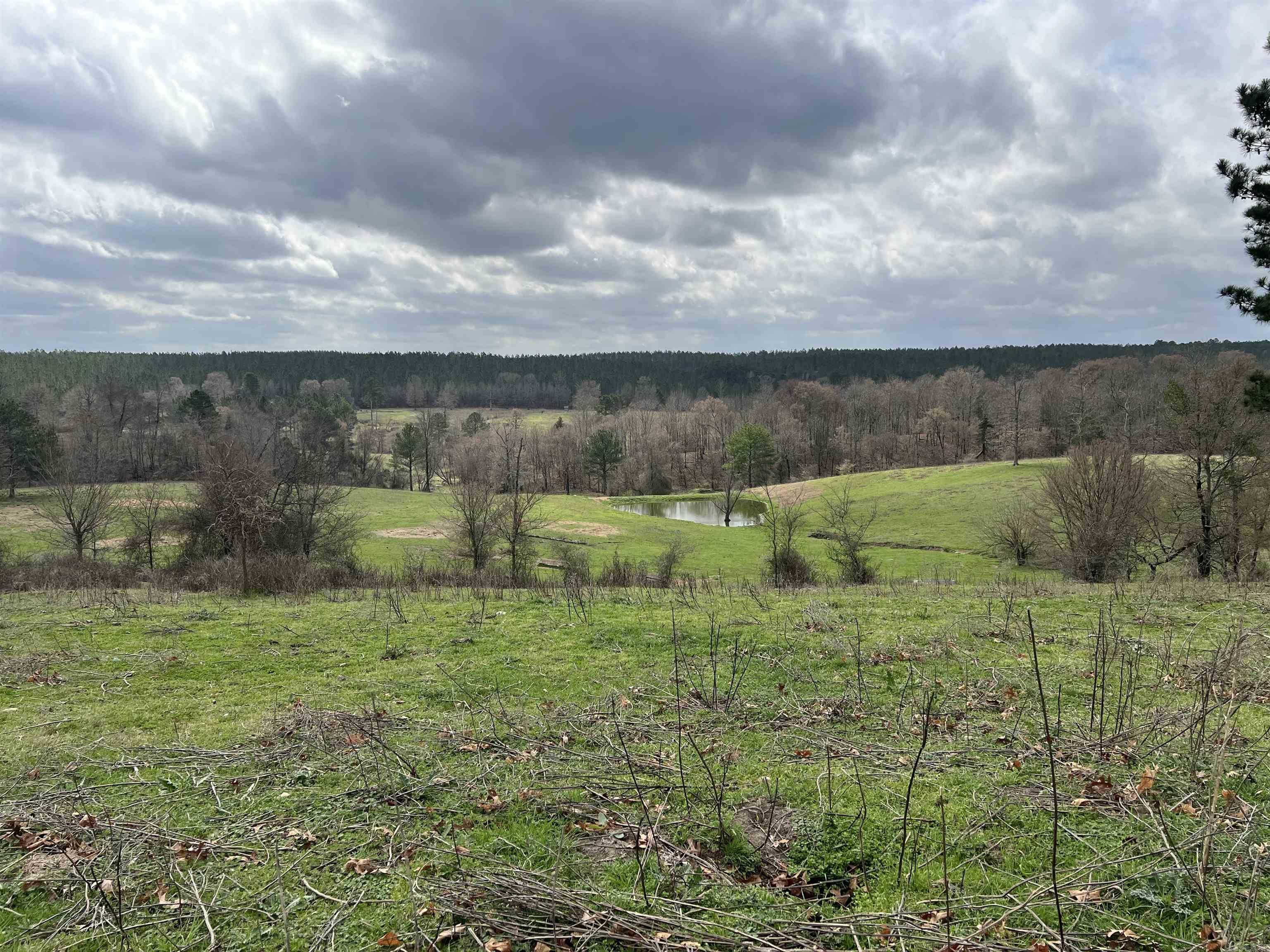 xx Shaw road  Newhope, AR