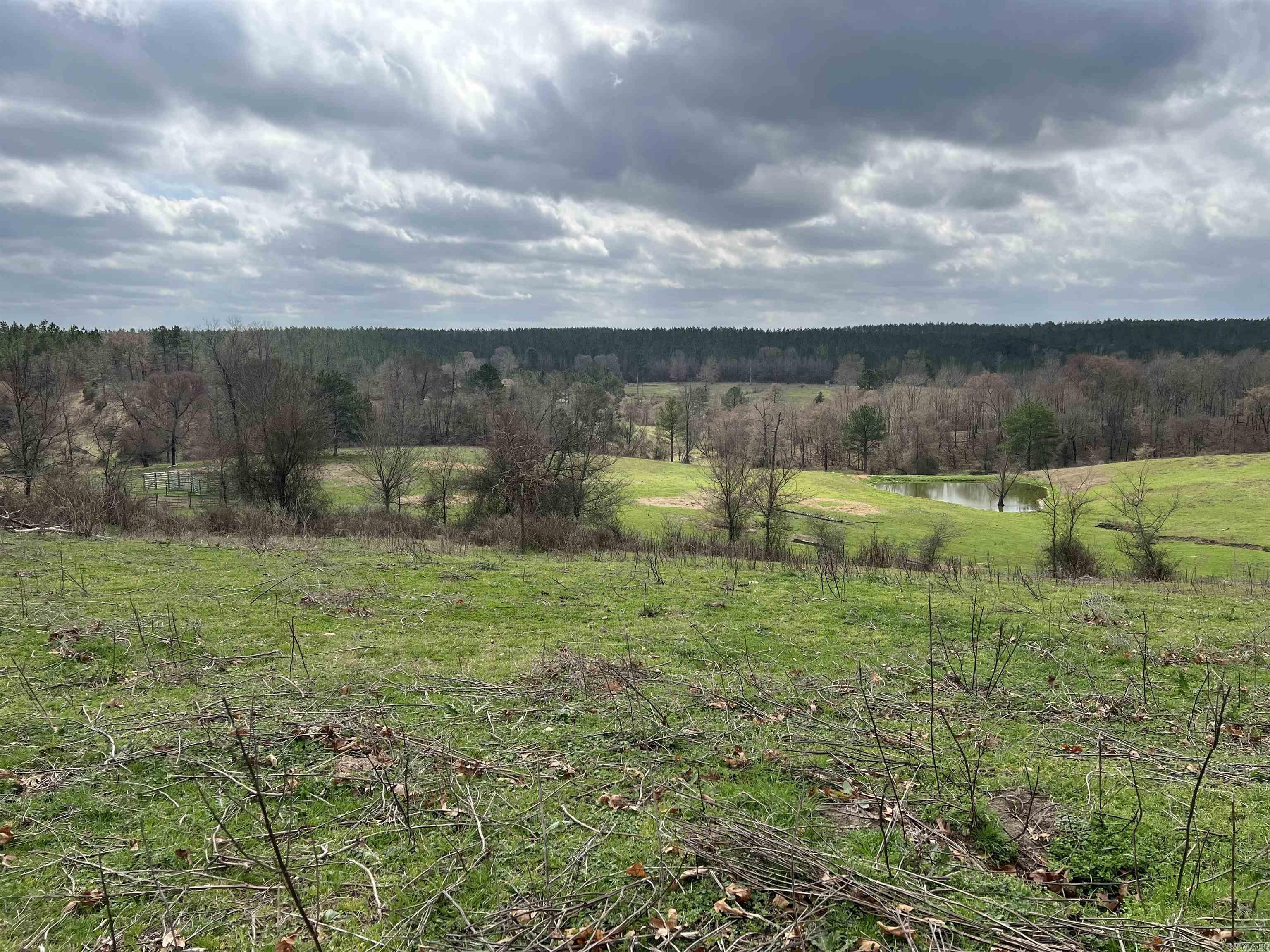 xx Shaw road  Newhope, AR