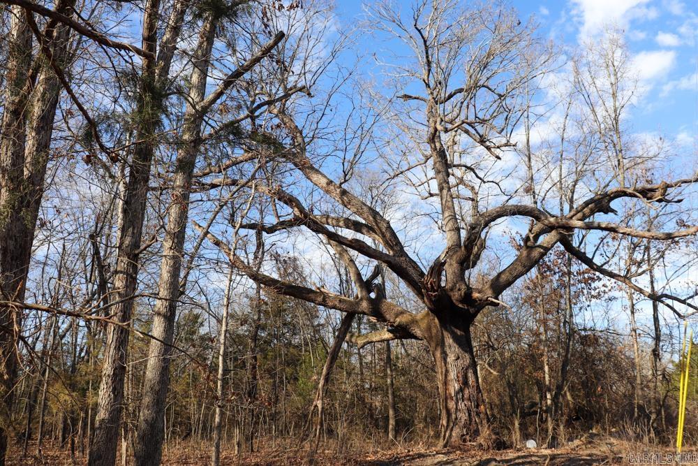 9238 Elizabeth  Viola, AR