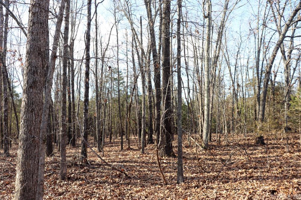 9238 Elizabeth  Viola, AR