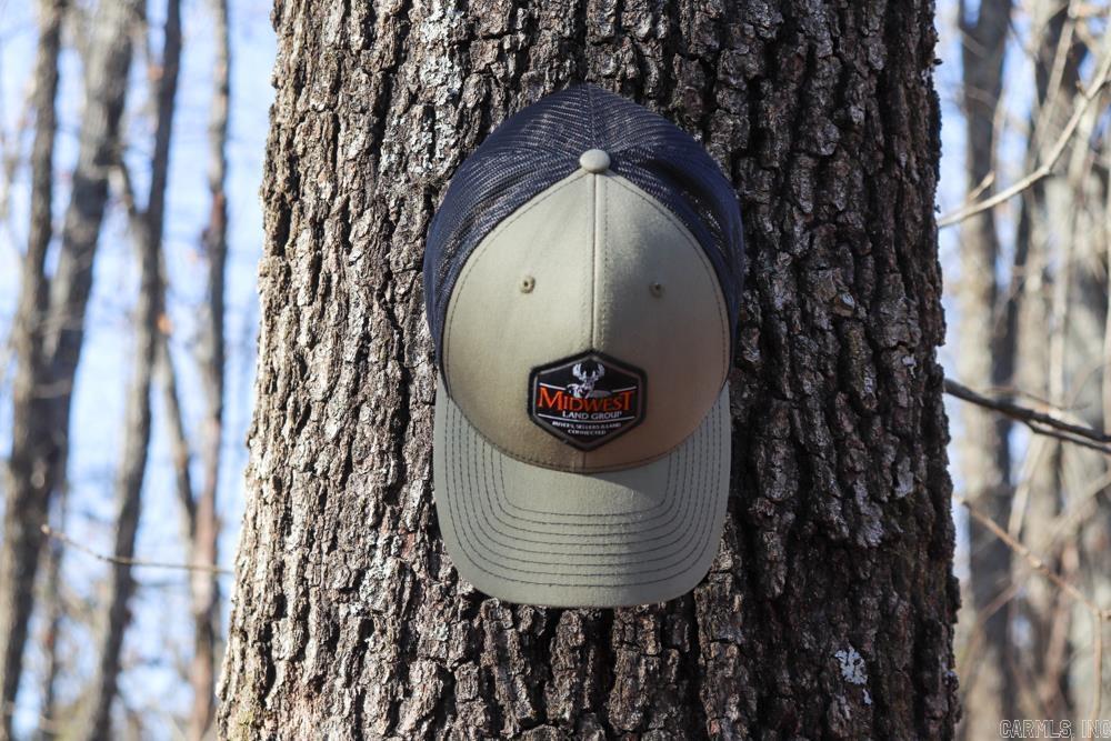 9238 Elizabeth  Viola, AR