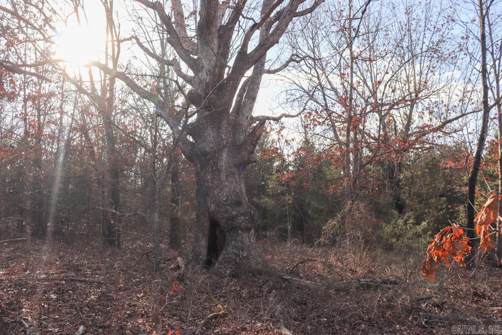 9238 Elizabeth  Viola, AR