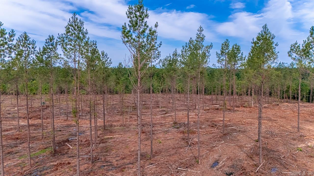 LOT #2 Grant 55  Hensley, AR