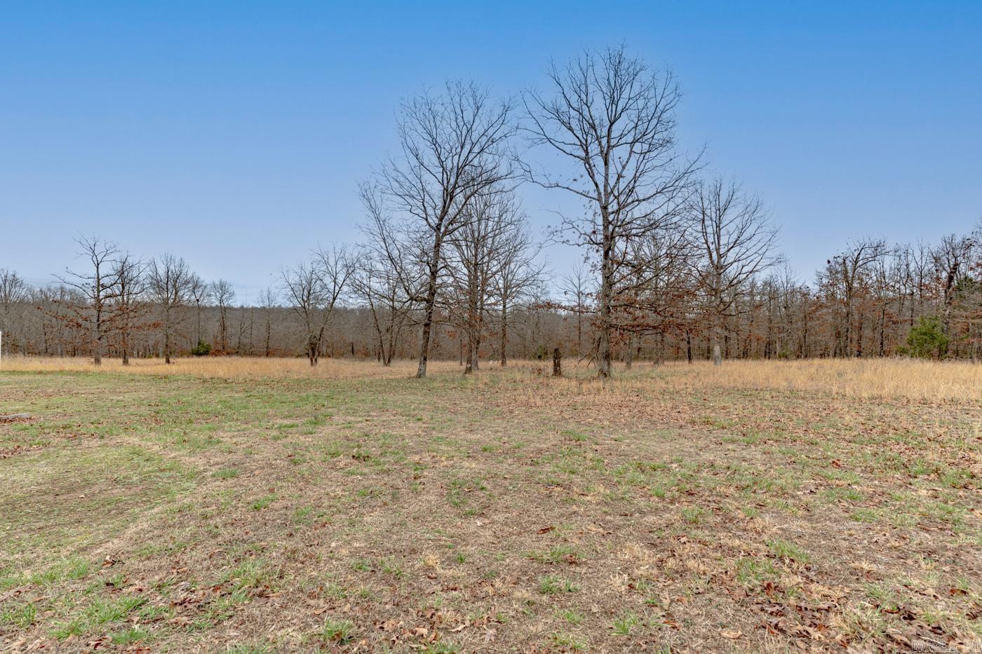 171 Dry Bone Rd  Ash Flat, AR