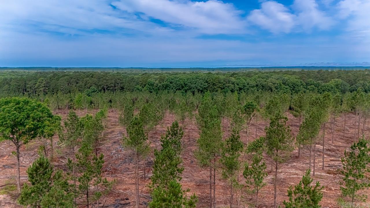 LOT #3 Grant 55  Hensley, AR