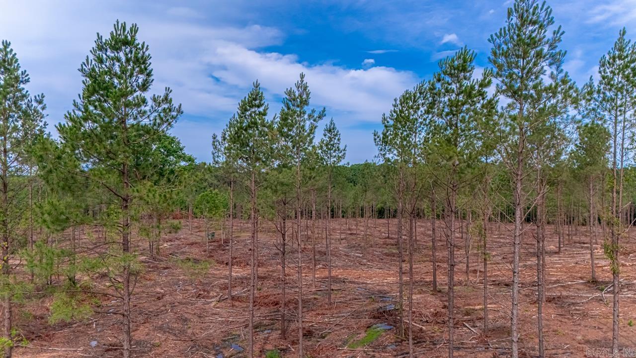 LOT #4 Grant 55  Hensley, AR