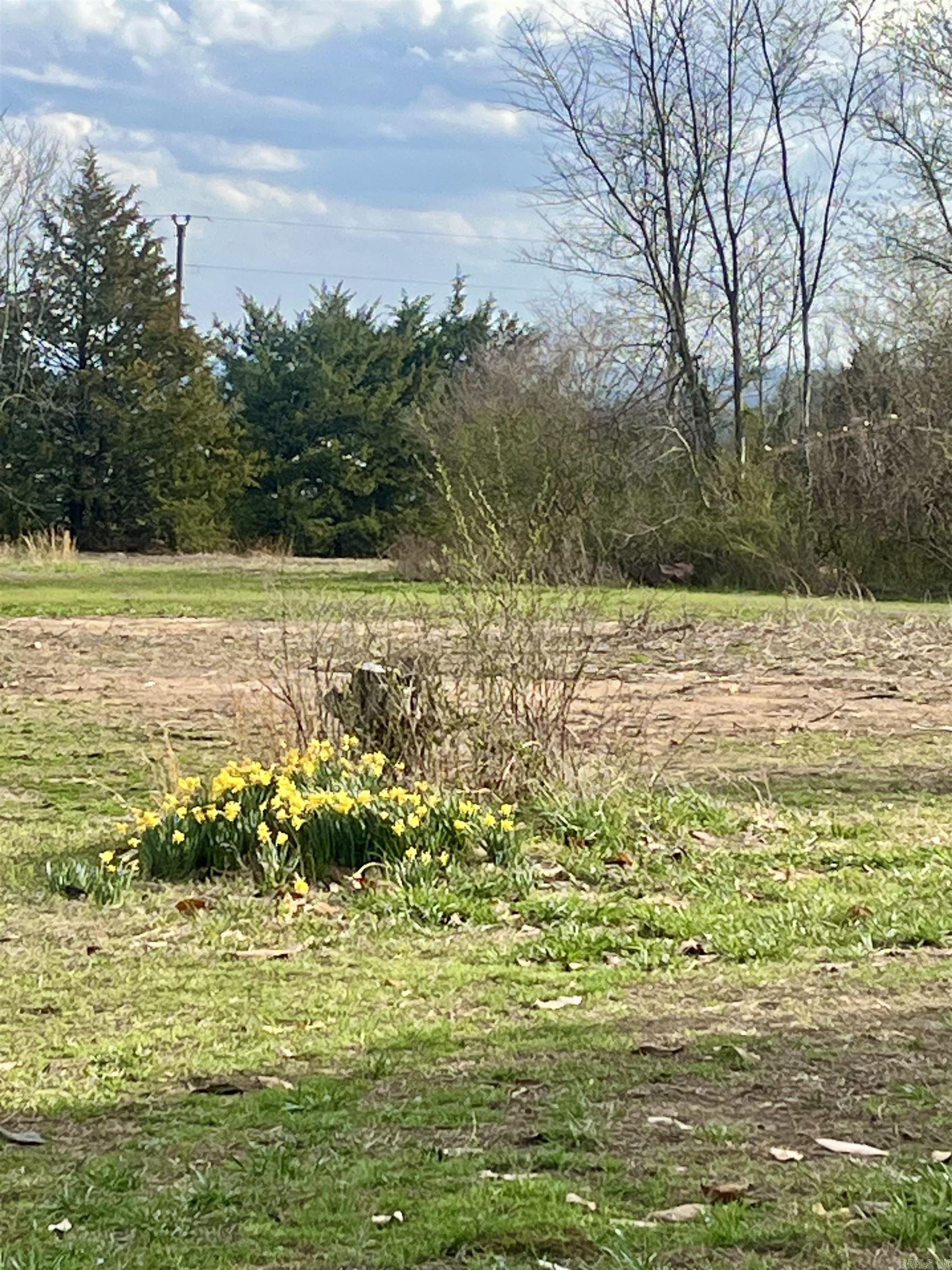 Bee Branch Ranch Road  Bee Branch, AR
