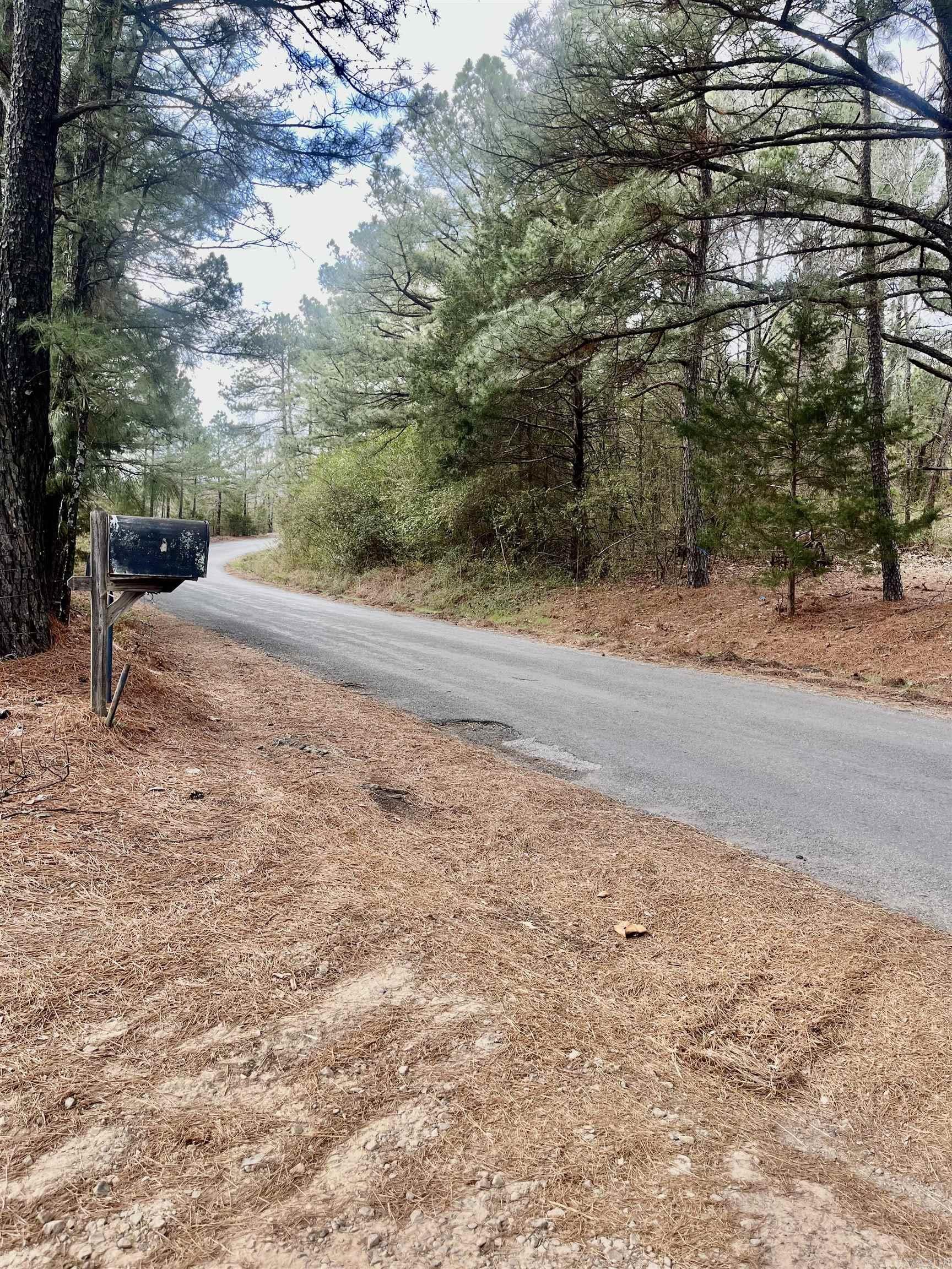 Bee Branch Ranch Road  Bee Branch, AR