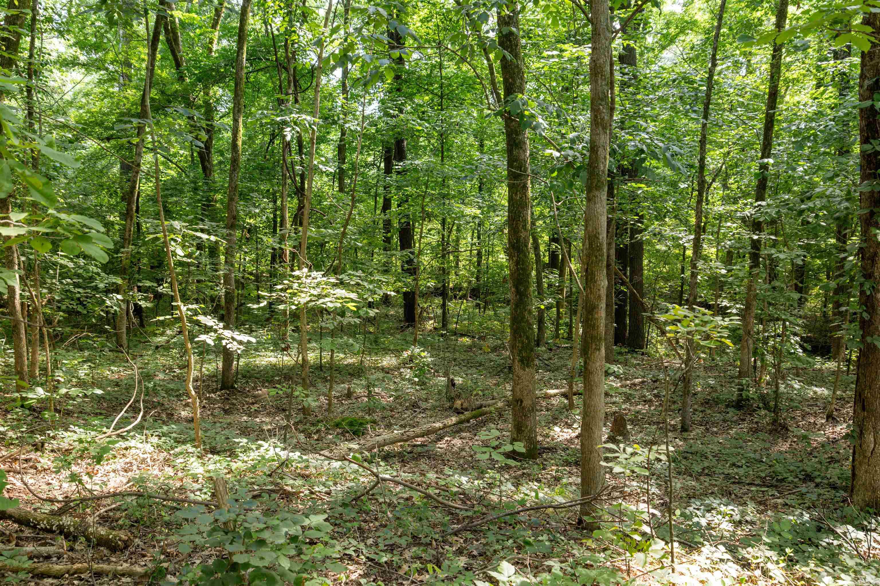 455 County Road 478  Jonesboro, AR