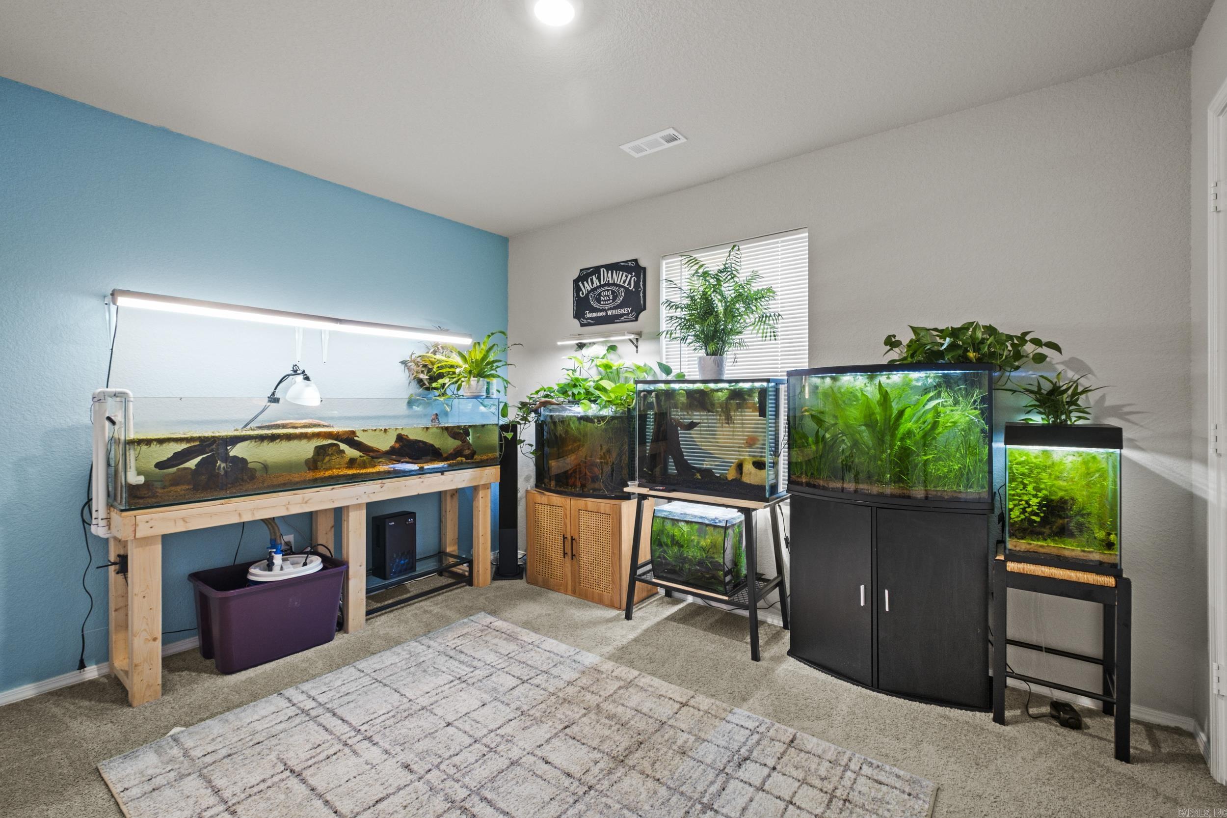 13 Sun Drenched Trail  Conway, AR