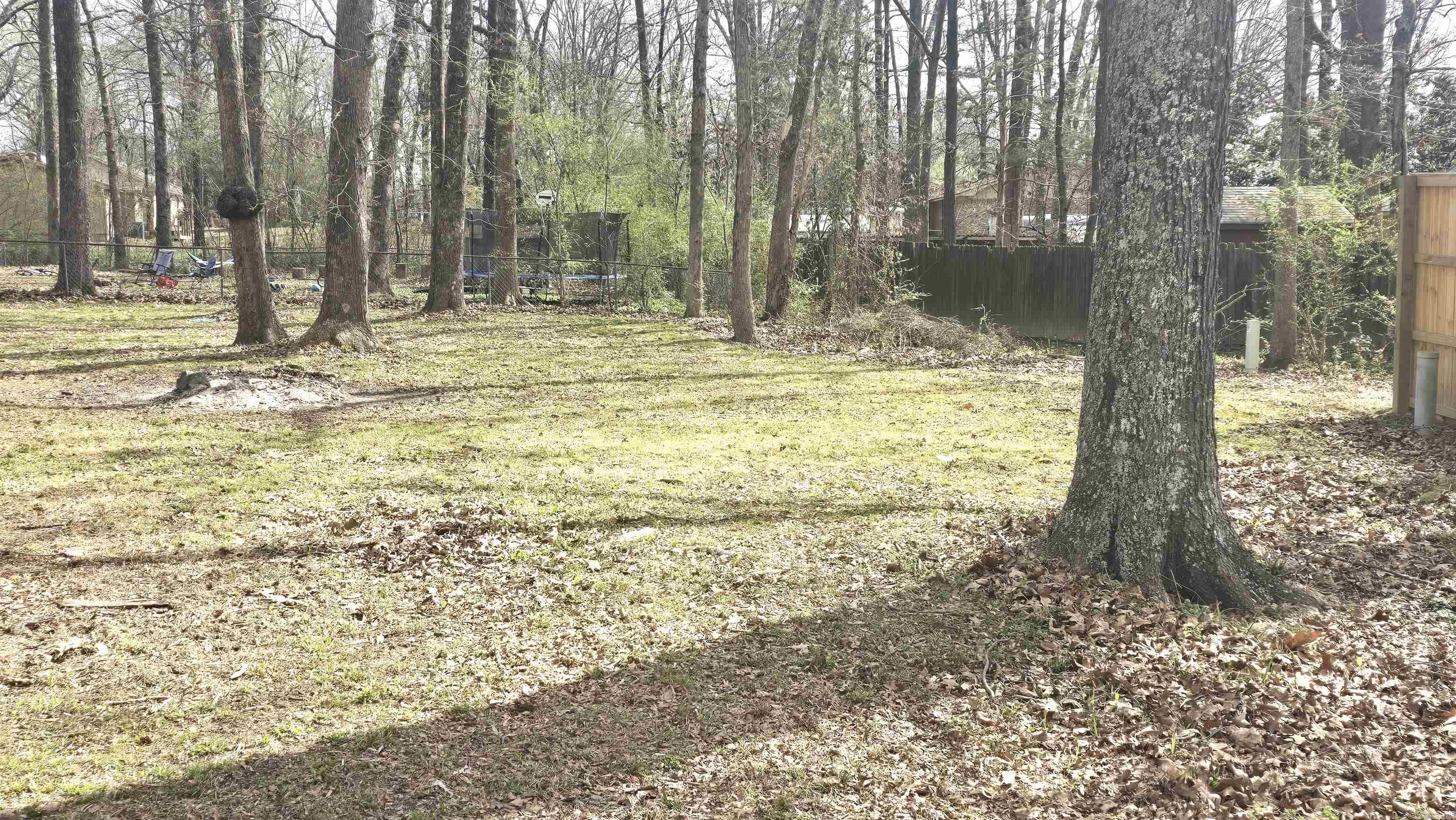 9 Raccoon  Conway, AR