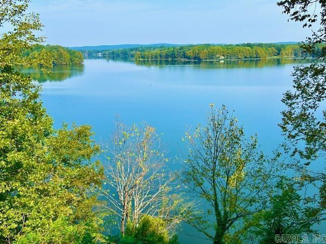 174 Ridge Road  Houston, AR