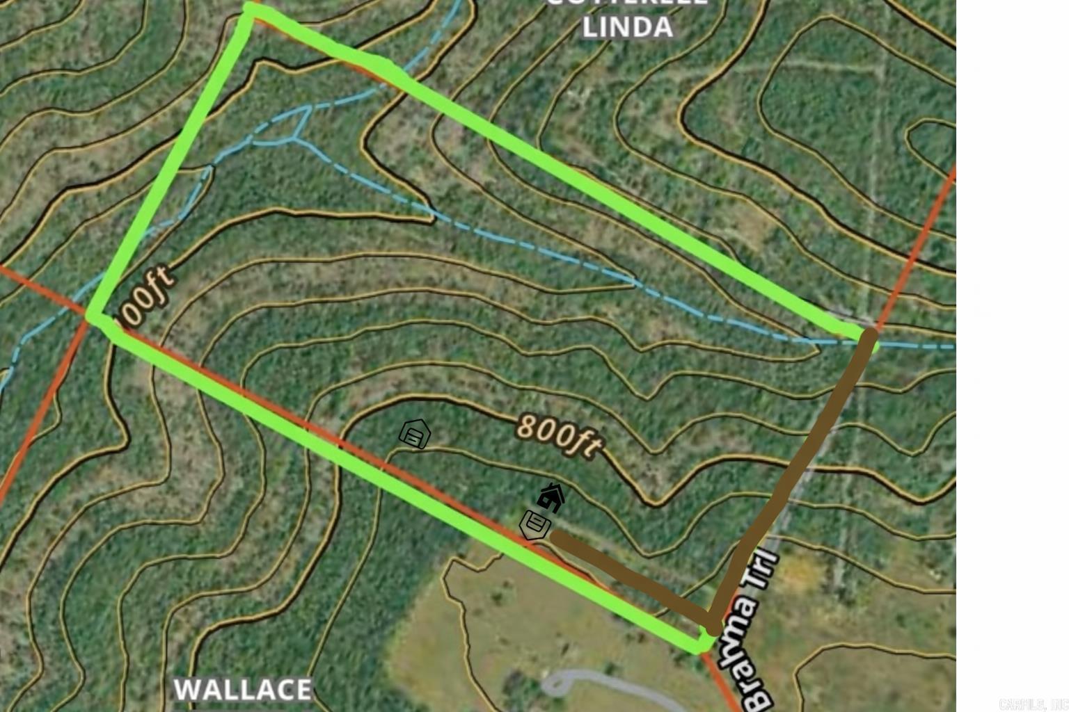 90 Brahma  Mountain Home, AR