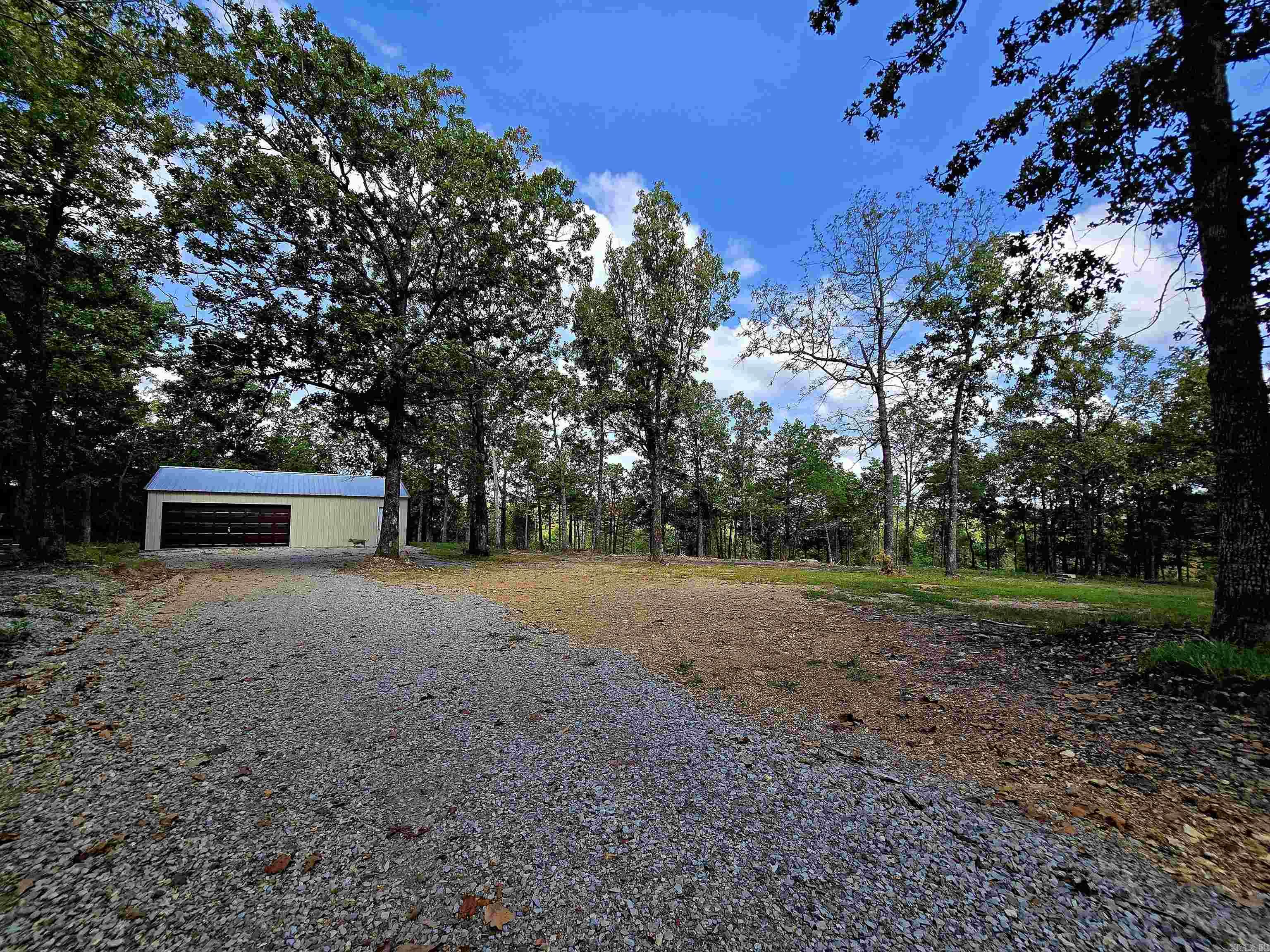 90 Brahma  Mountain Home, AR