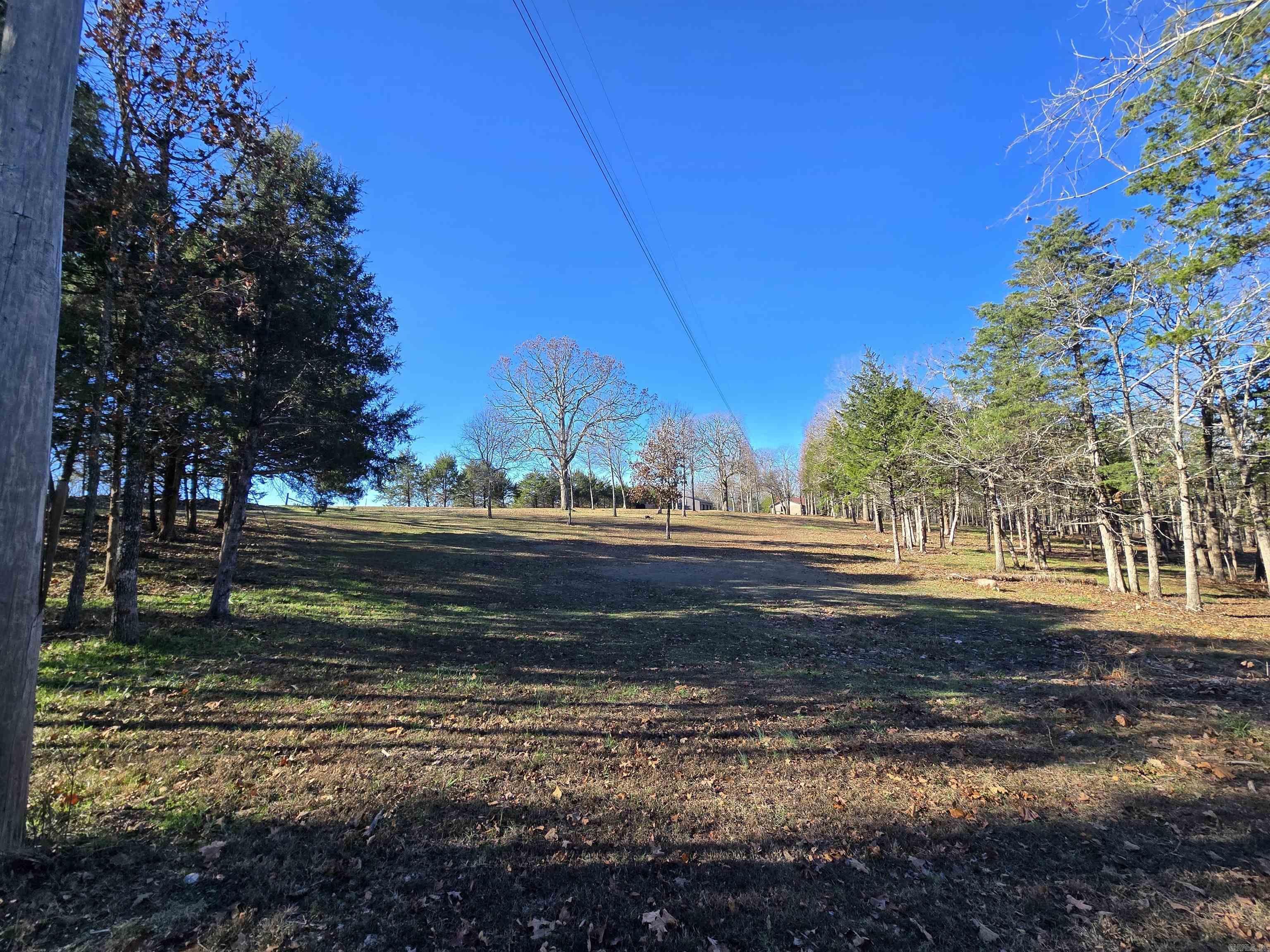 90 Brahma  Mountain Home, AR