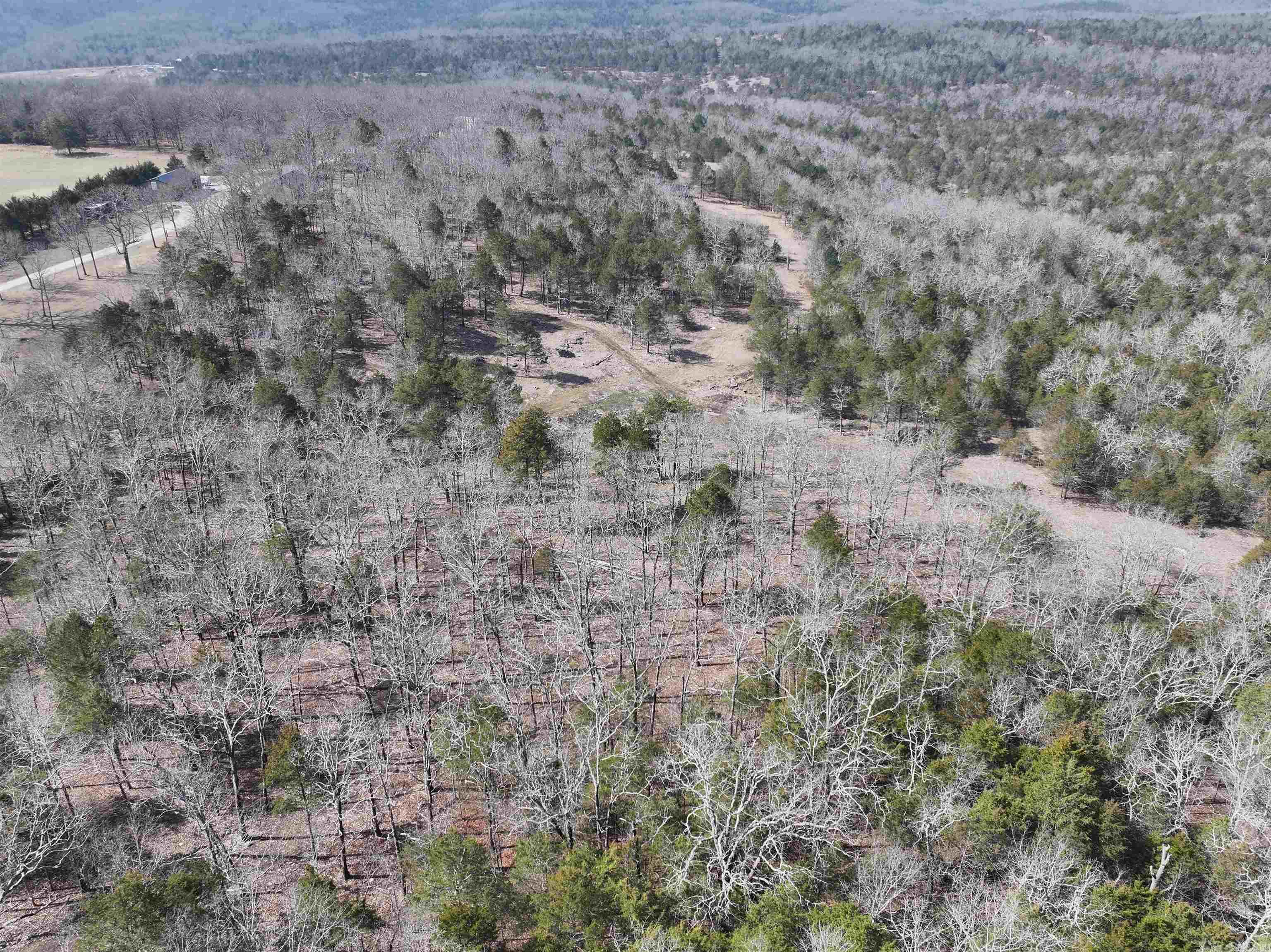 90 Brahma  Mountain Home, AR