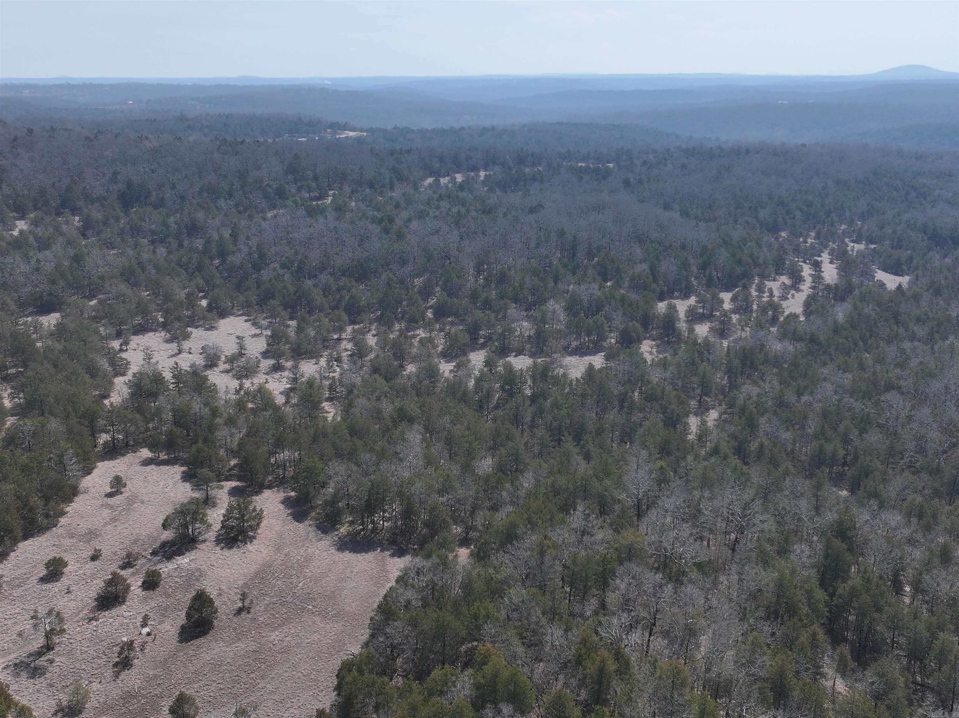 90 Brahma  Mountain Home, AR