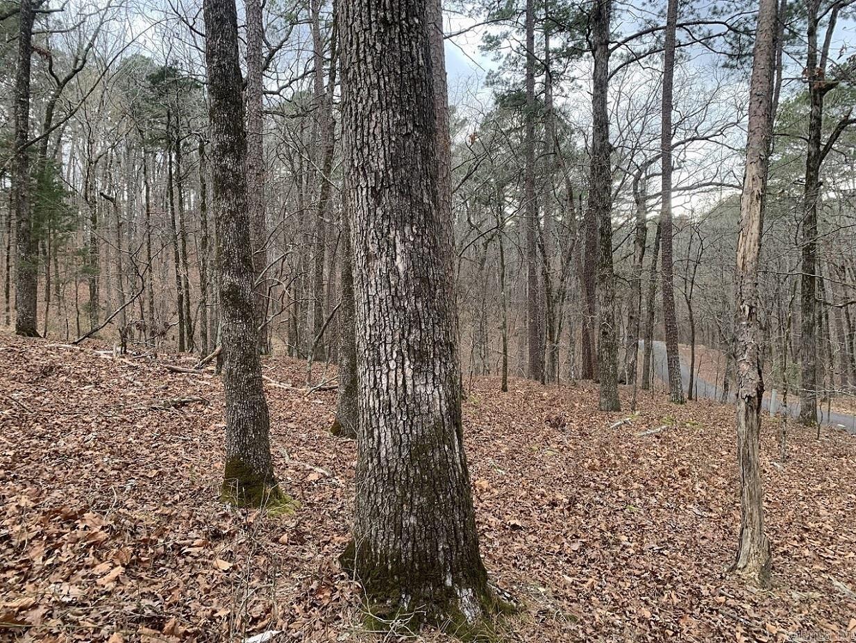  Lerida  Hot Springs Village, AR