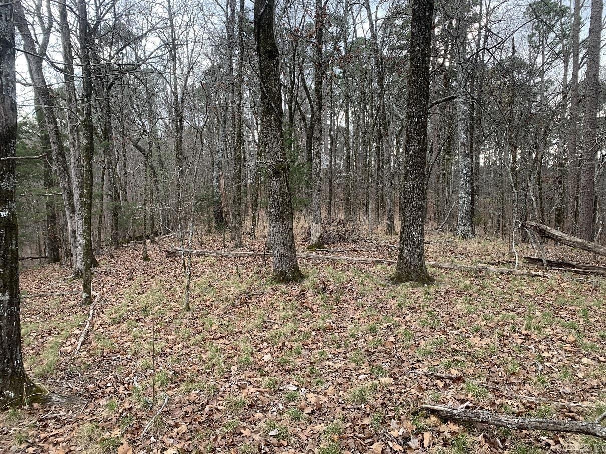  Lerida  Hot Springs Village, AR