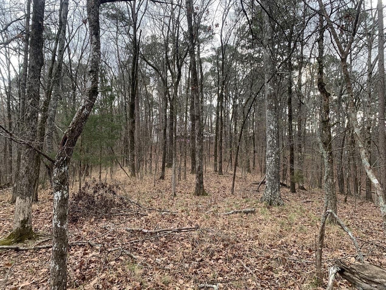  Lerida  Hot Springs Village, AR