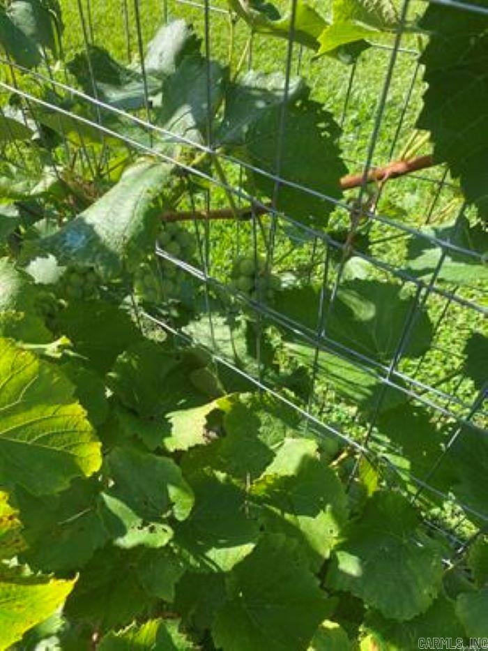 1212 Donaghey Ave.  Conway, AR