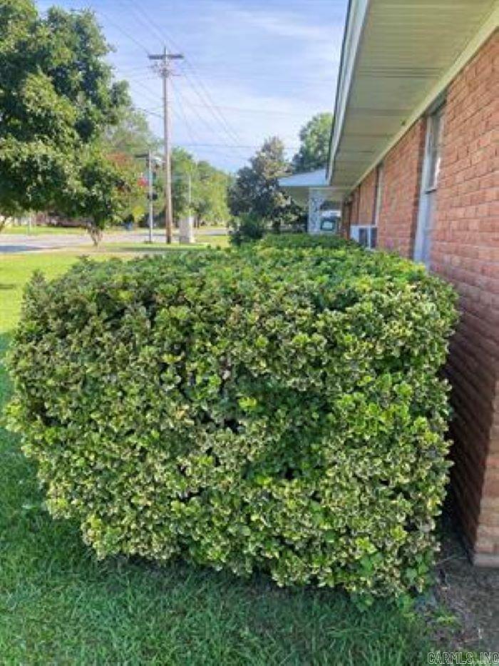 1212 Donaghey Ave.  Conway, AR