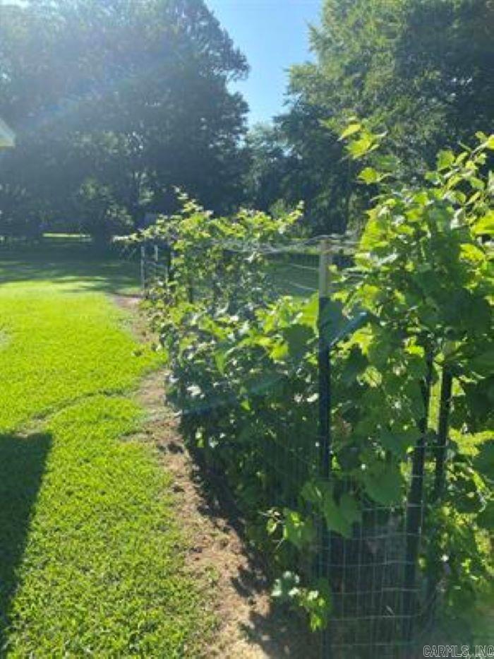 1212 Donaghey Ave.  Conway, AR