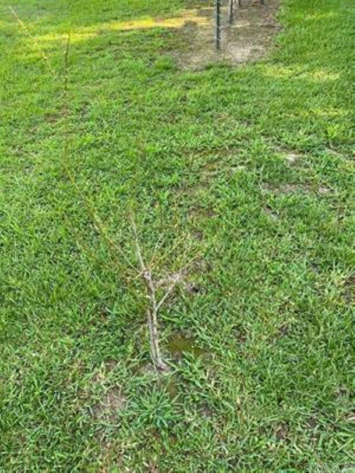 0 Lee Ave  Conway, AR