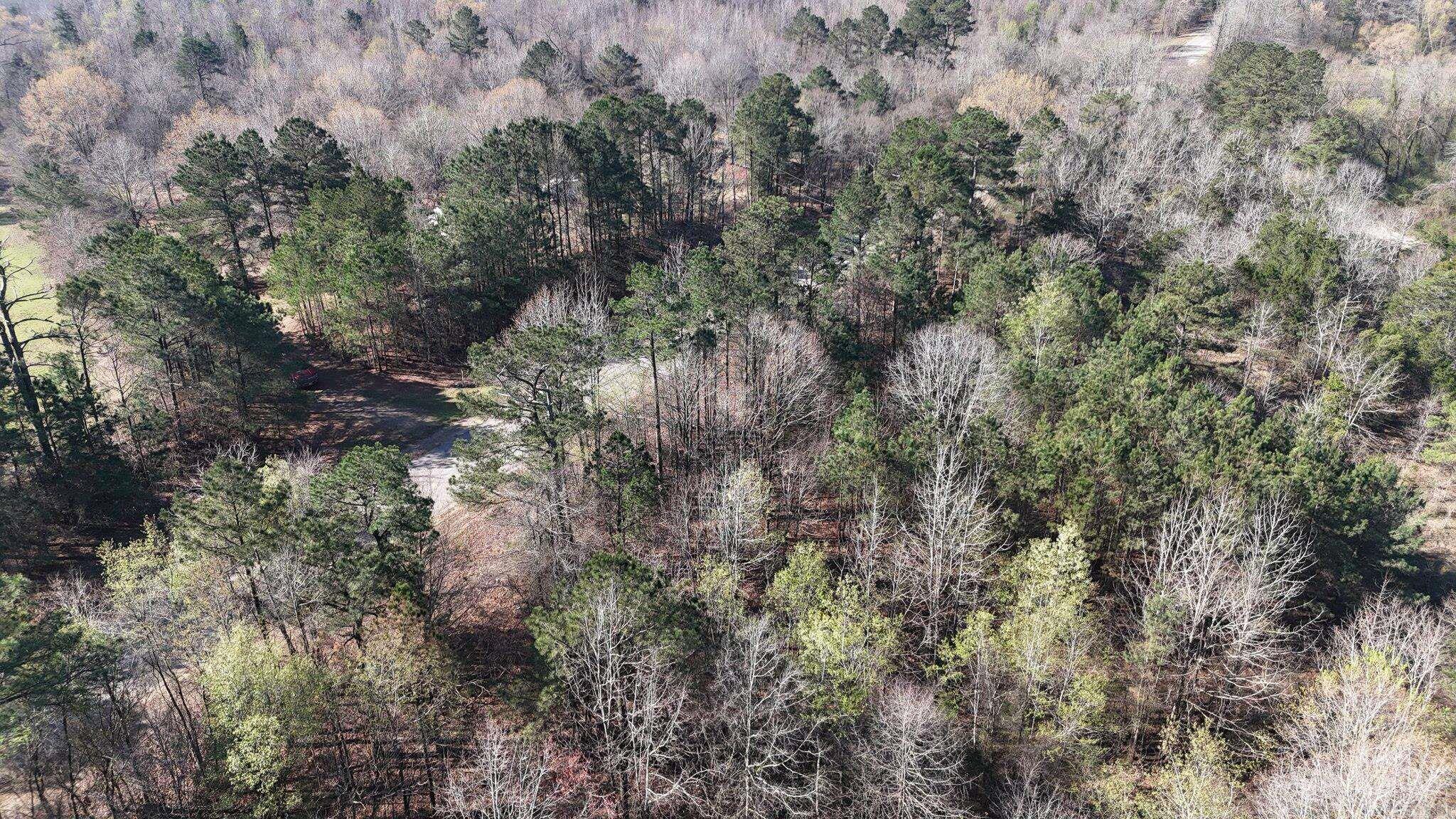 416 Gillham Lake Road  Gillham, AR