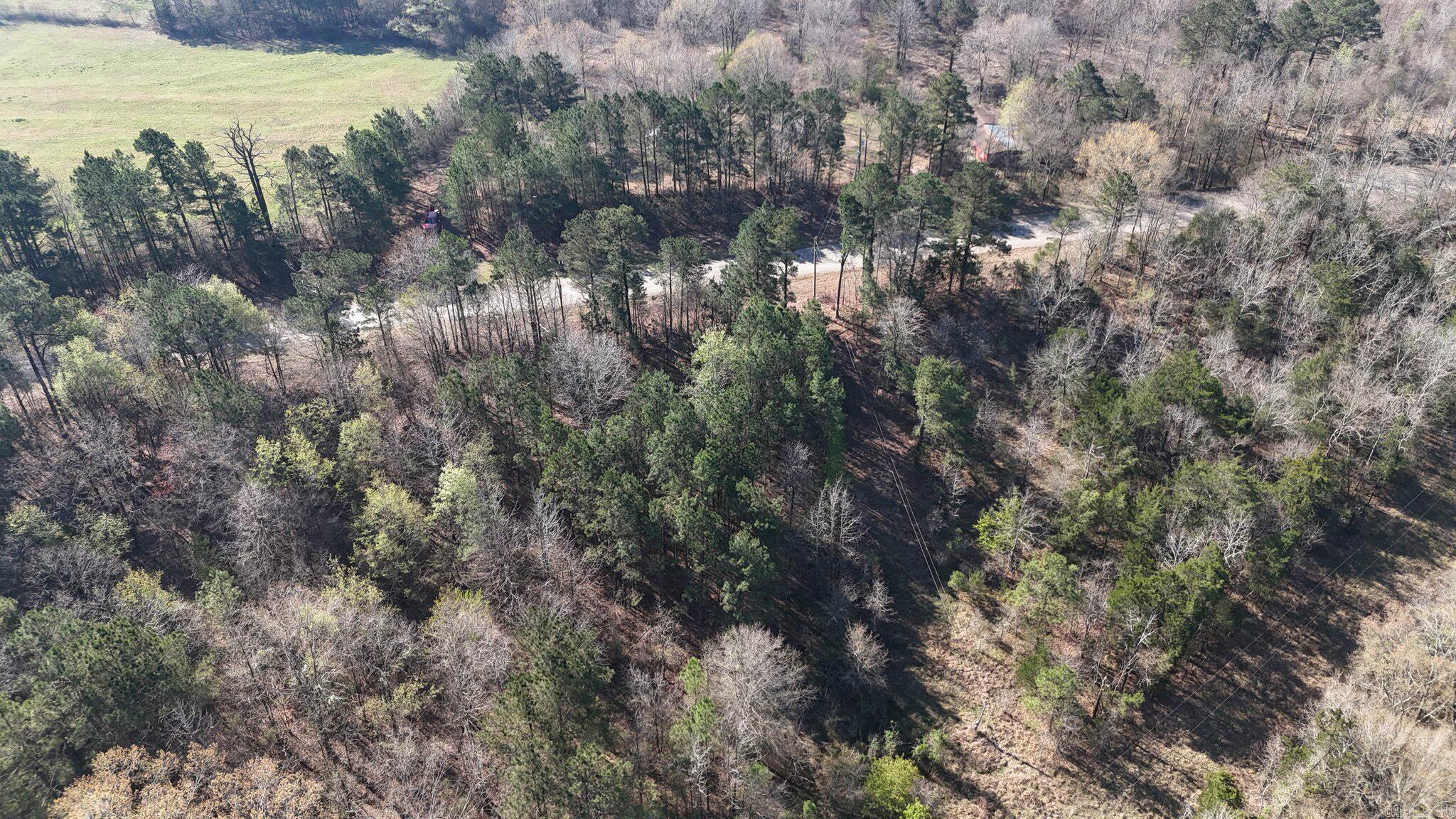 416 Gillham Lake Road  Gillham, AR