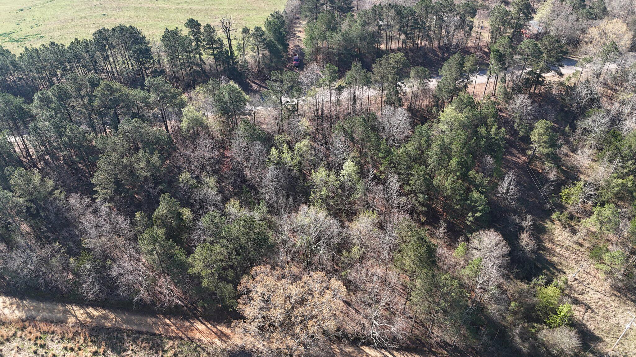 416 Gillham Lake Road  Gillham, AR