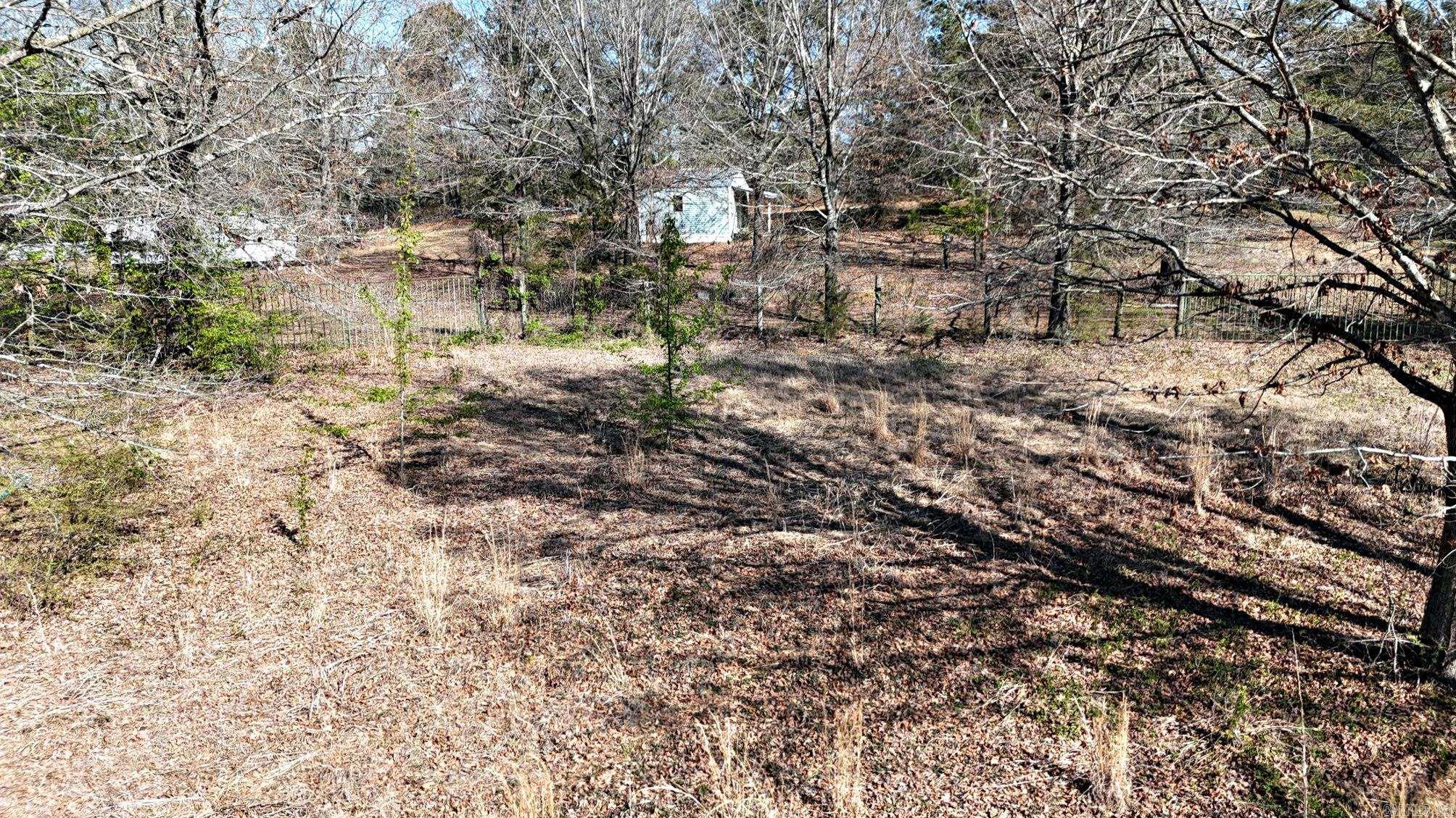 416 Gillham Lake Road  Gillham, AR