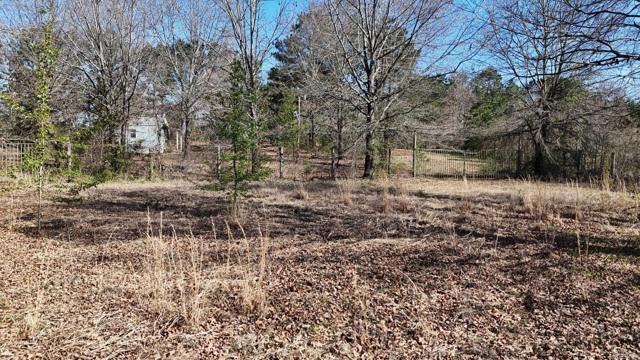 416 Gillham Lake Road  Gillham, AR