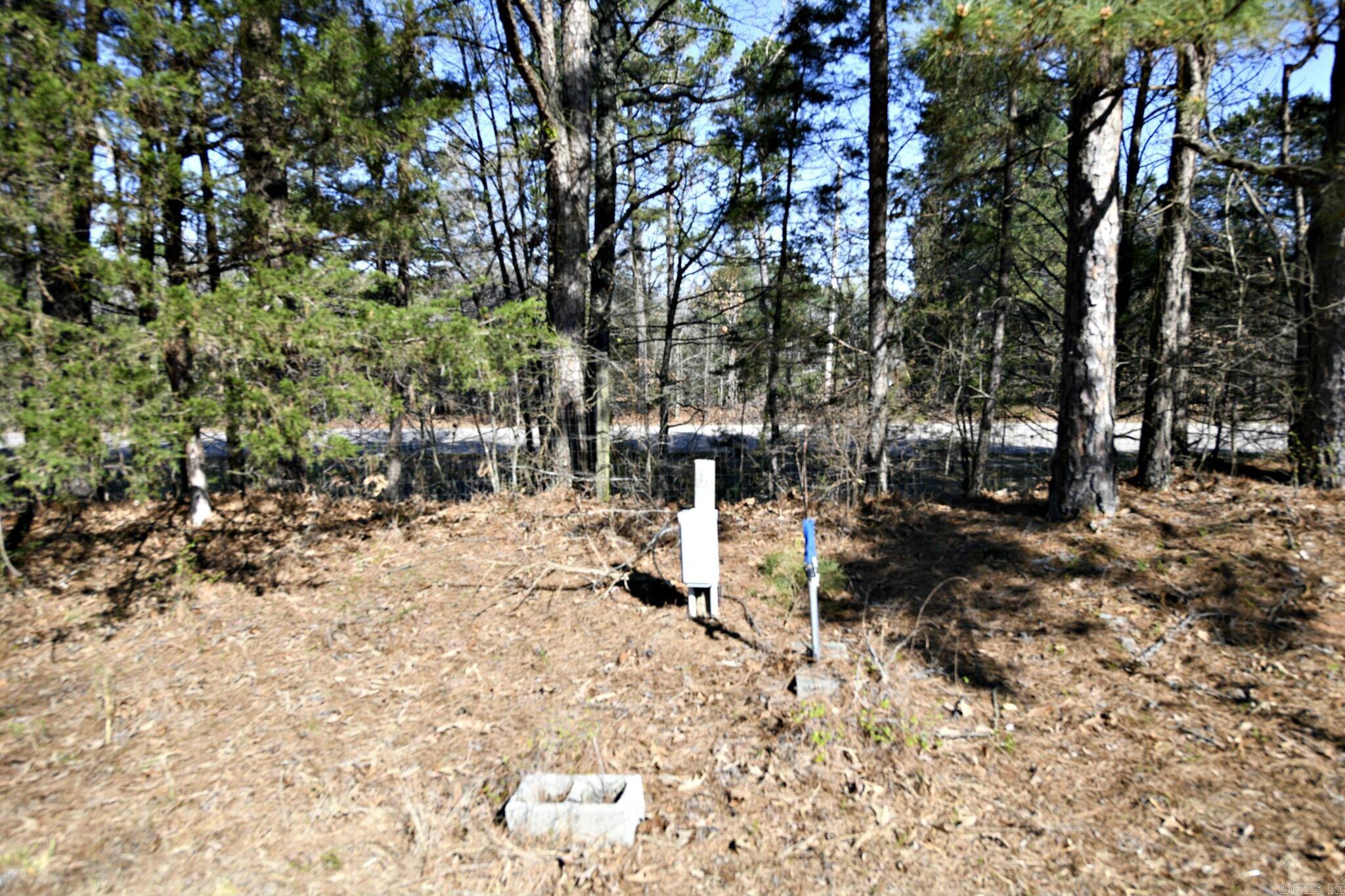 416 Gillham Lake Road  Gillham, AR