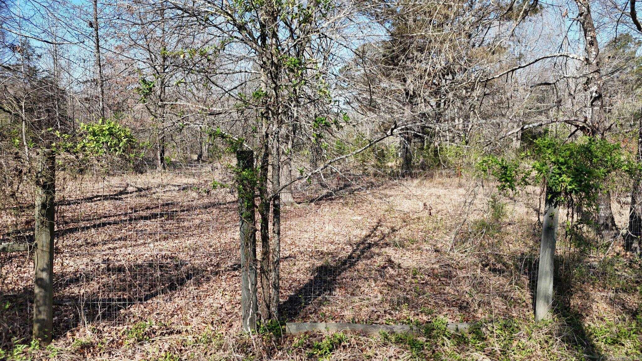 416 Gillham Lake Road  Gillham, AR