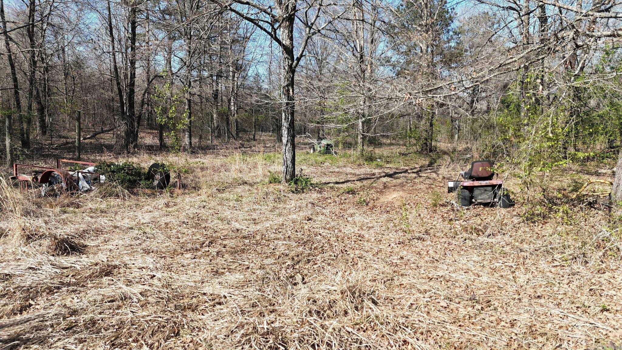 416 Gillham Lake Road  Gillham, AR