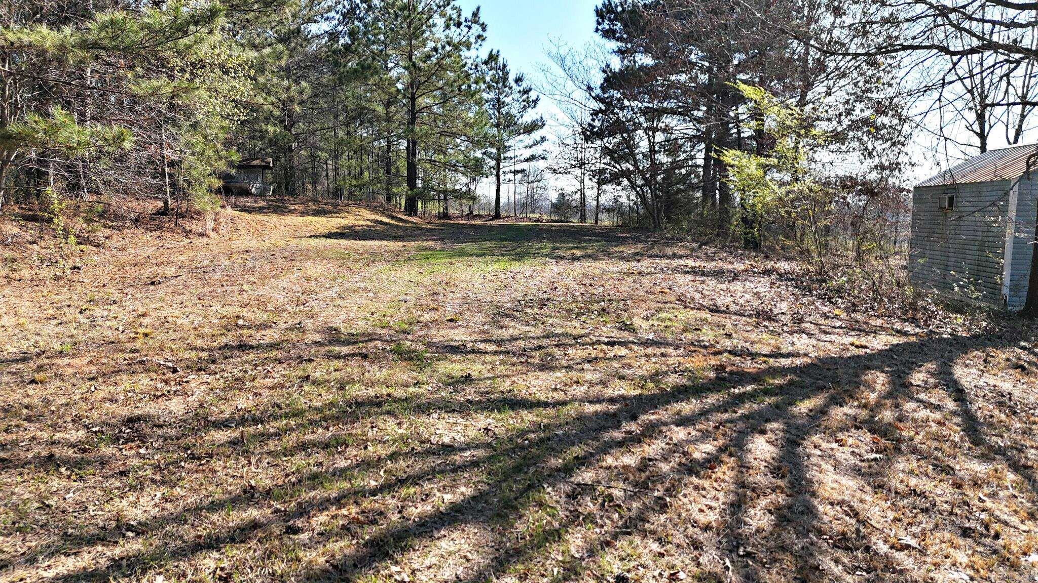 416 Gillham Lake Road  Gillham, AR