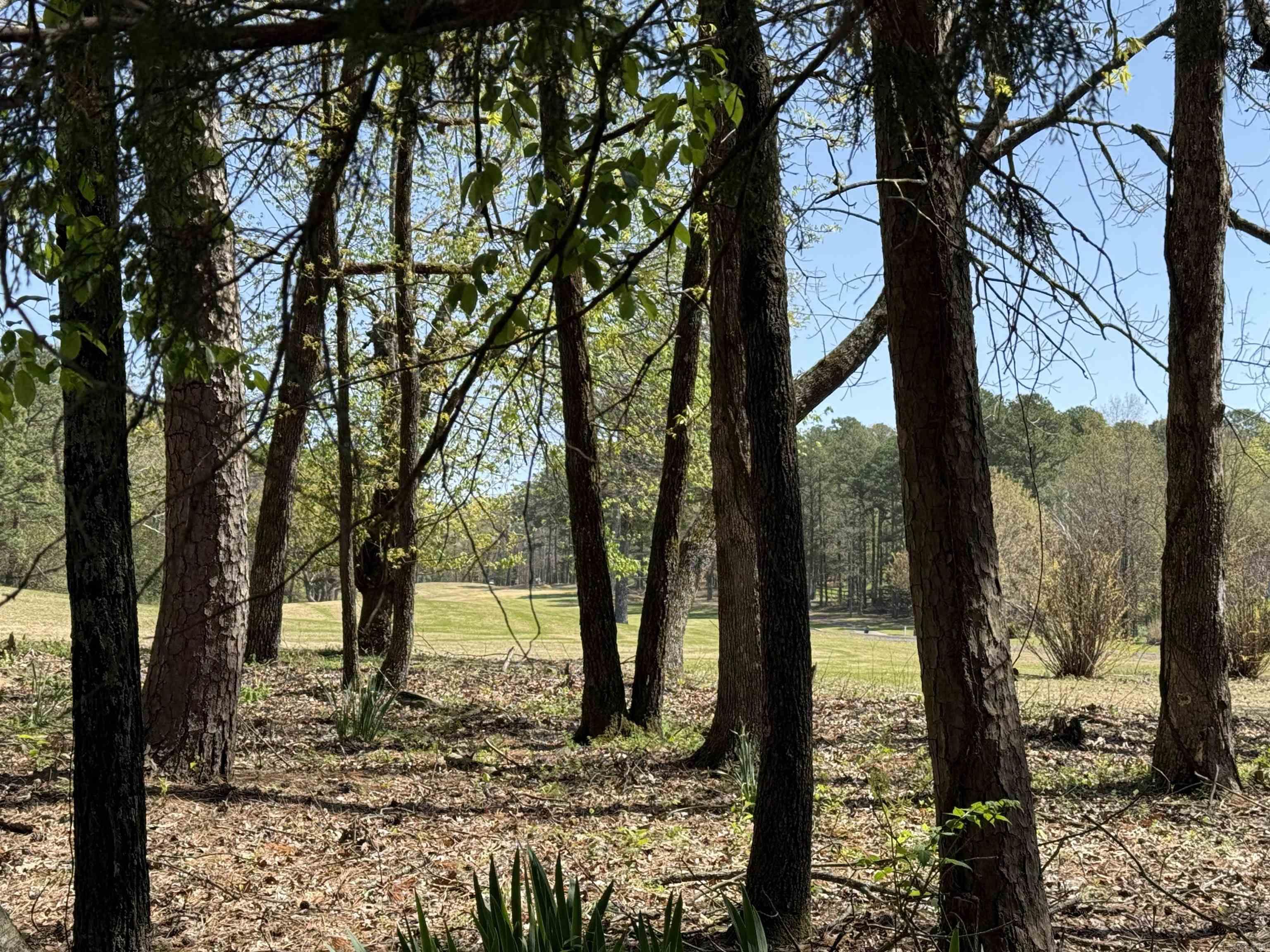 233 Rock Hill  Fairfield Bay, AR