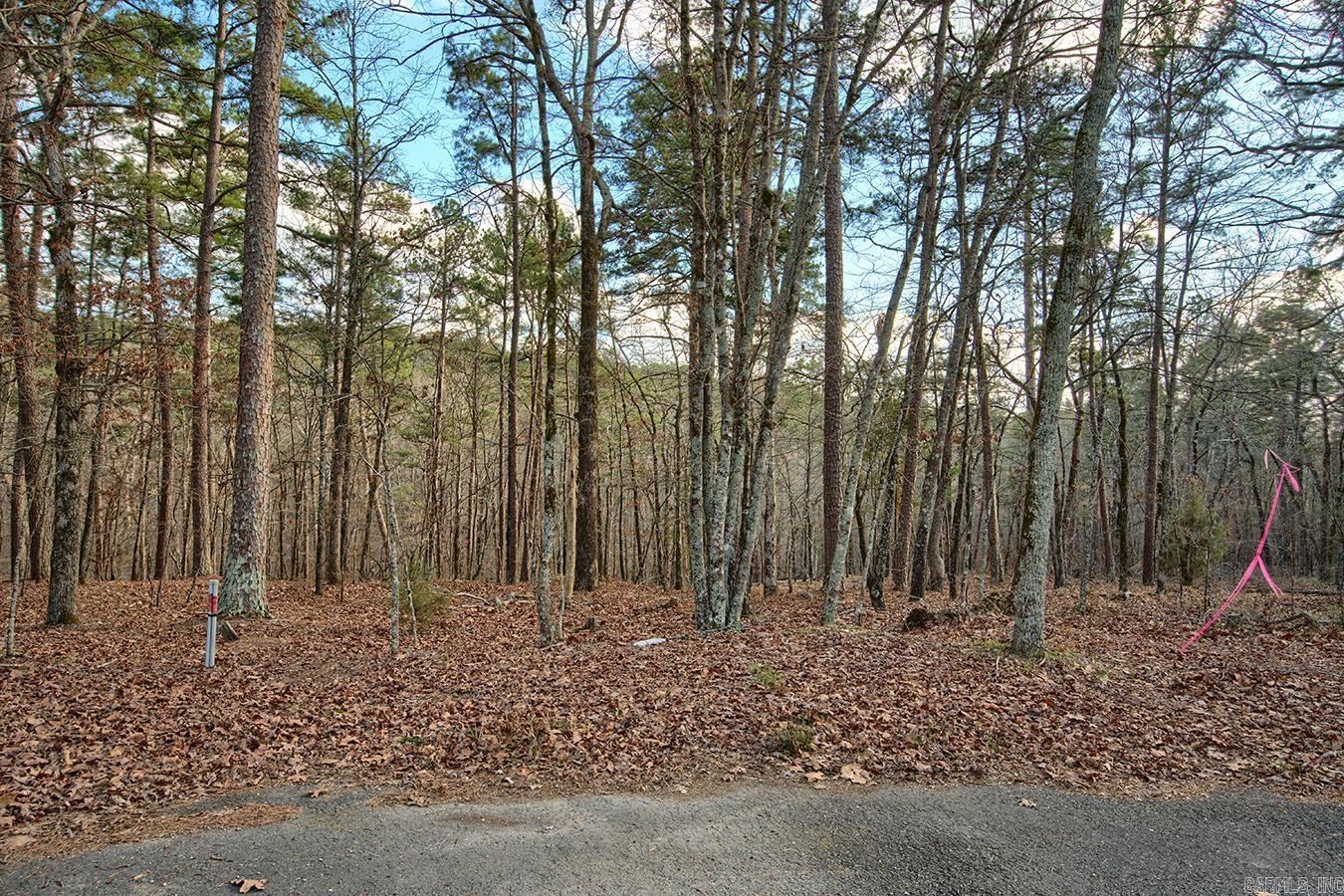 11 Acaso  Hot Springs Village, AR