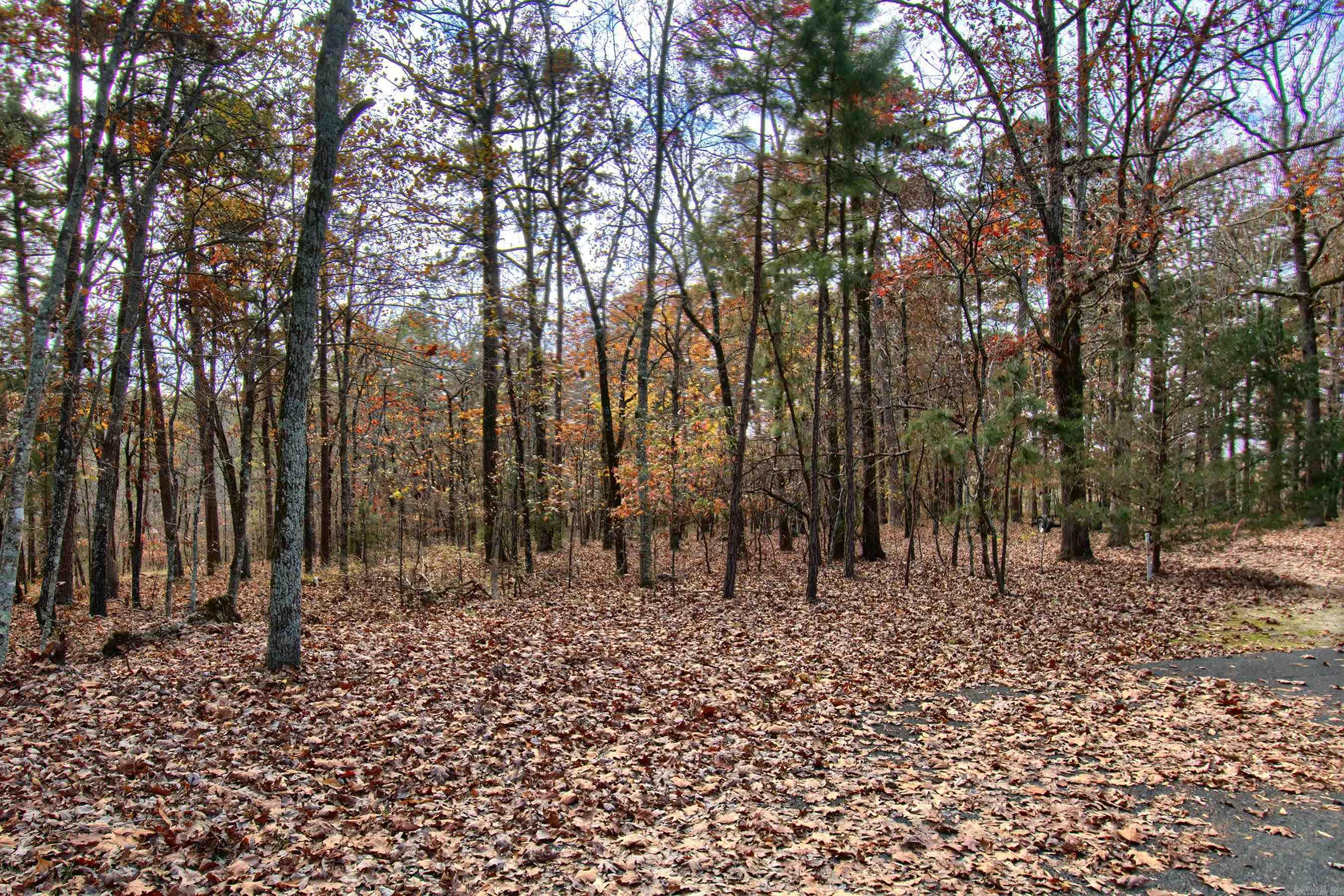 11 Acaso  Hot Springs Village, AR