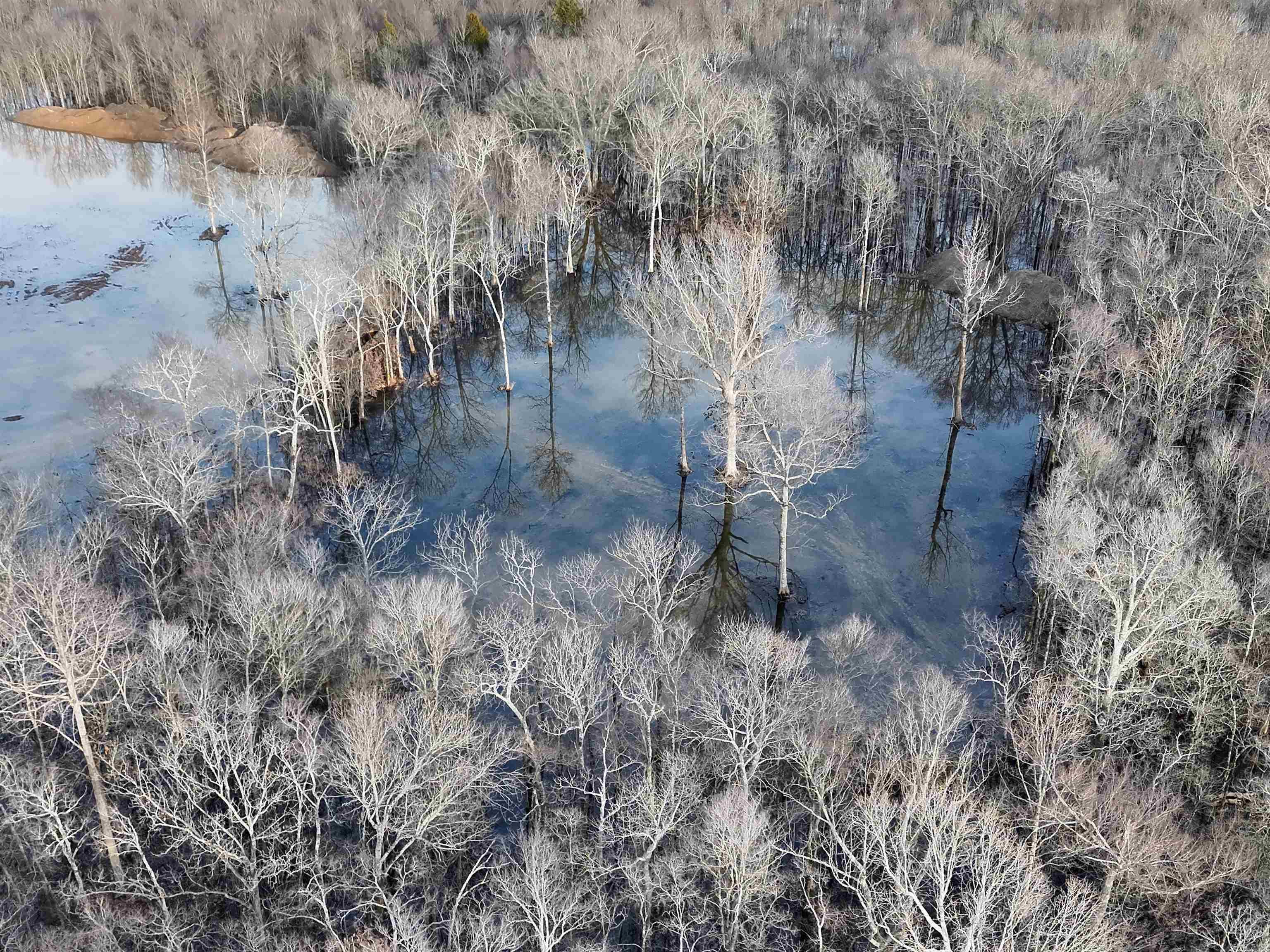 TBD CR 271  Cash, AR