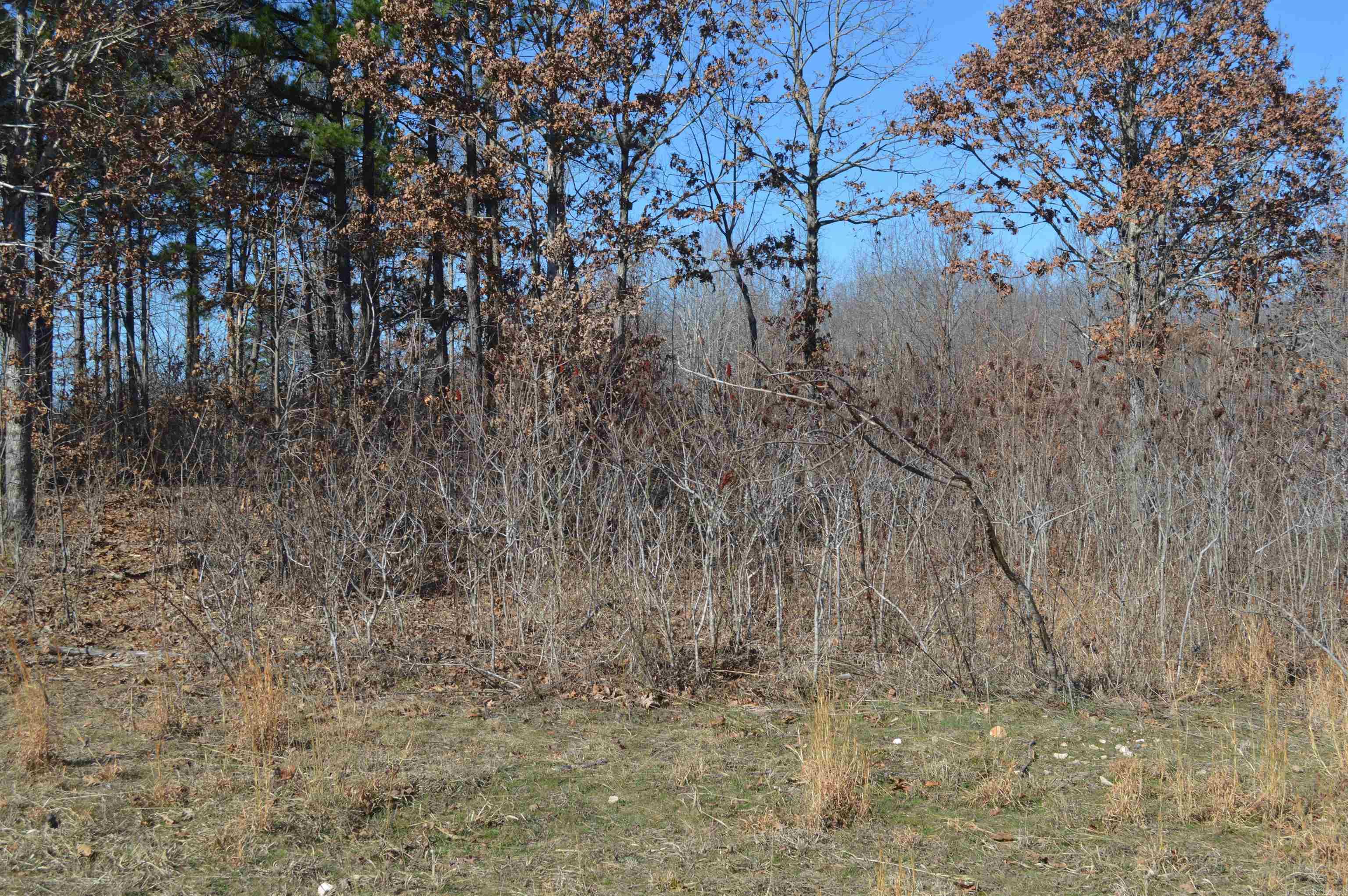 00 Gutter  RD  Harriet, AR