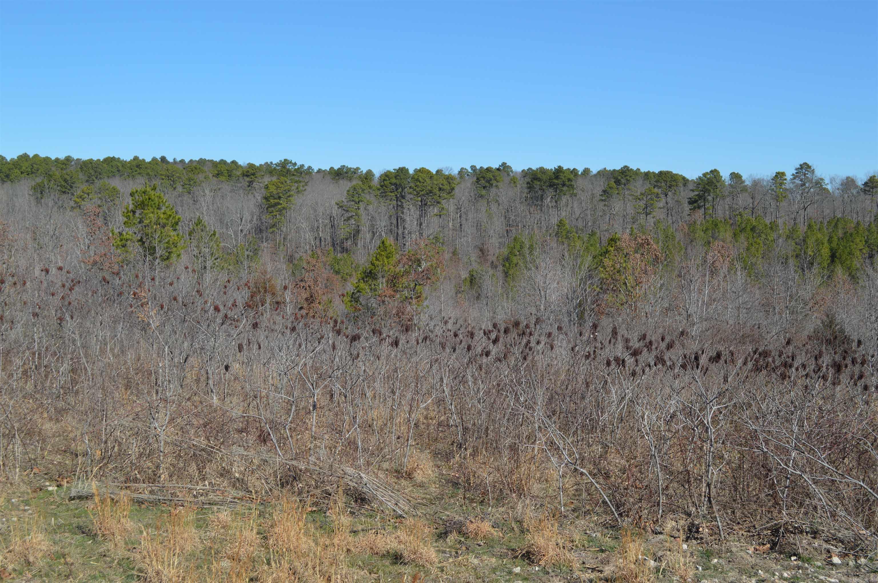 00 Gutter  RD  Harriet, AR