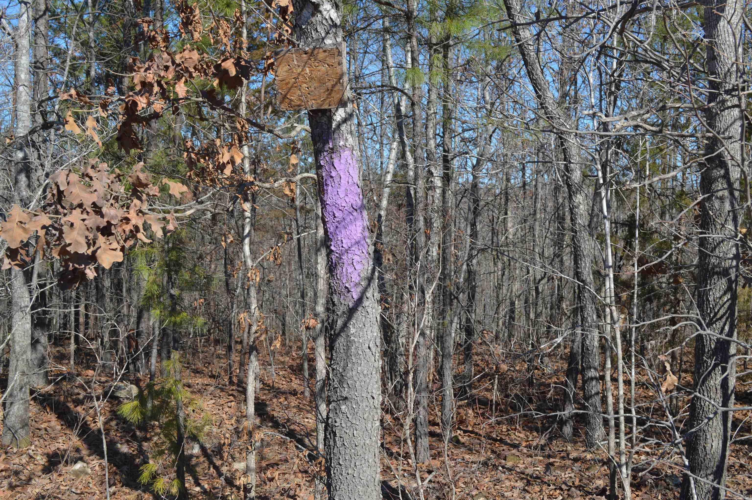 00 Gutter  RD  Harriet, AR