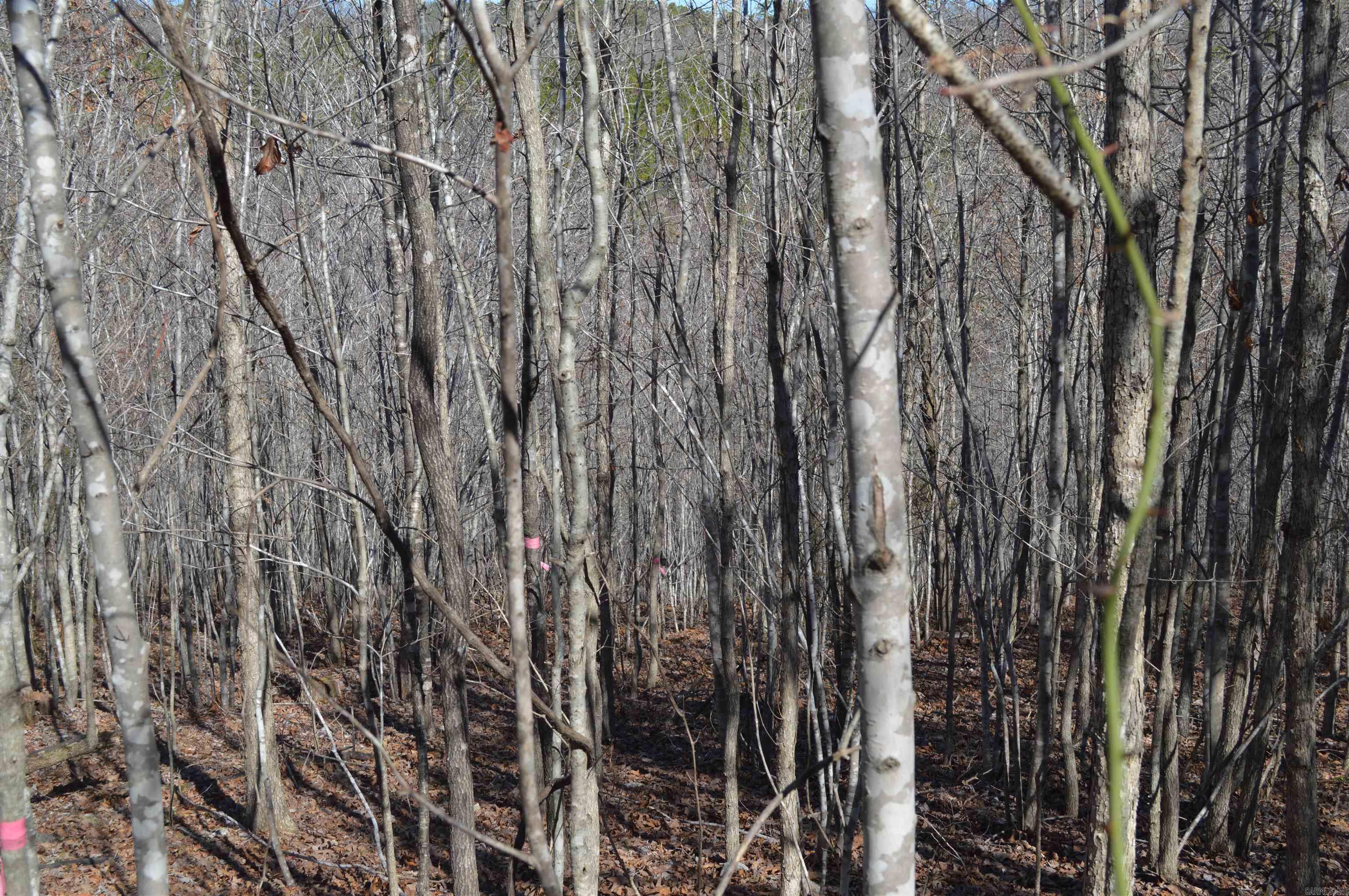 00 Gutter  RD  Harriet, AR